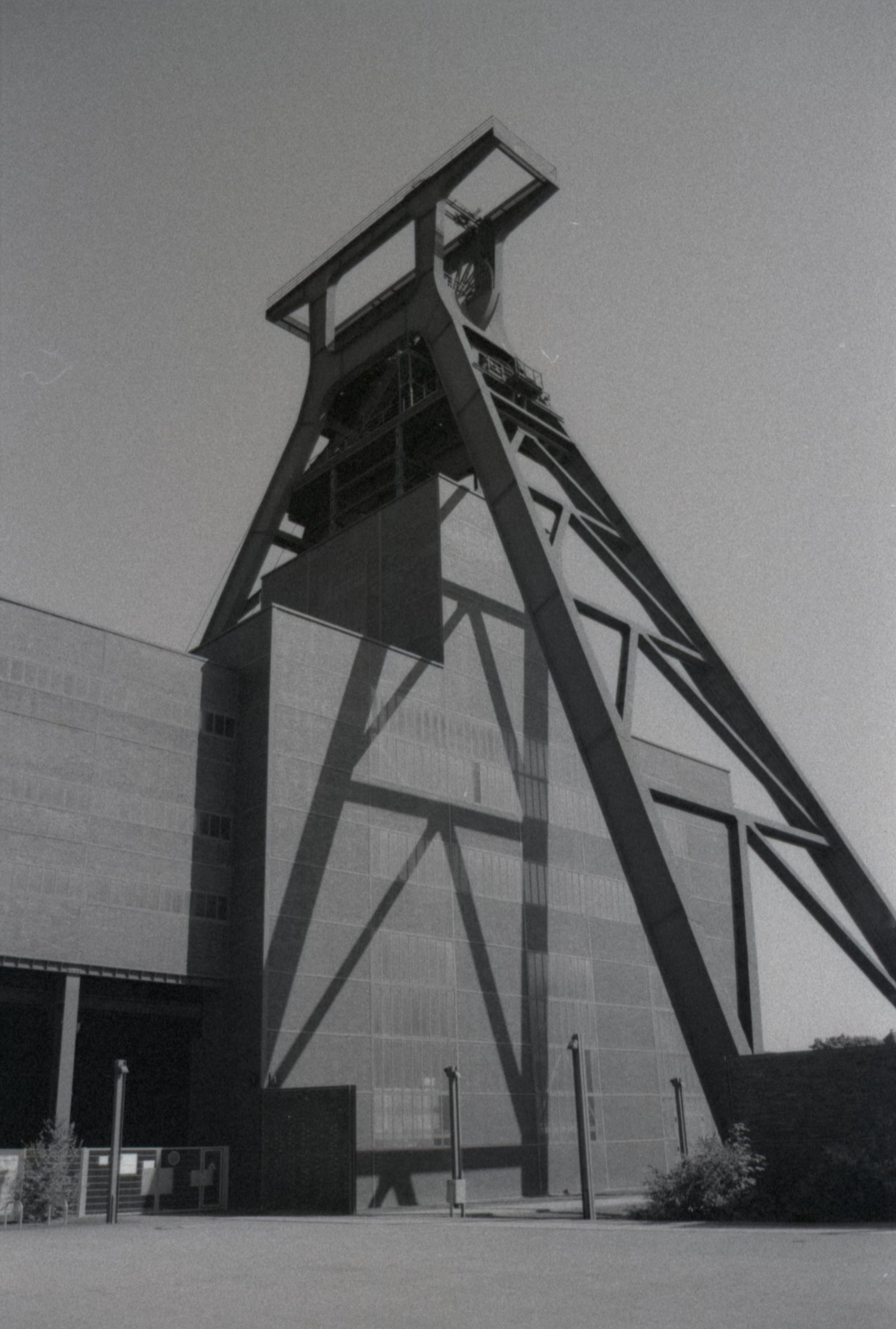 Analog - Photo 4