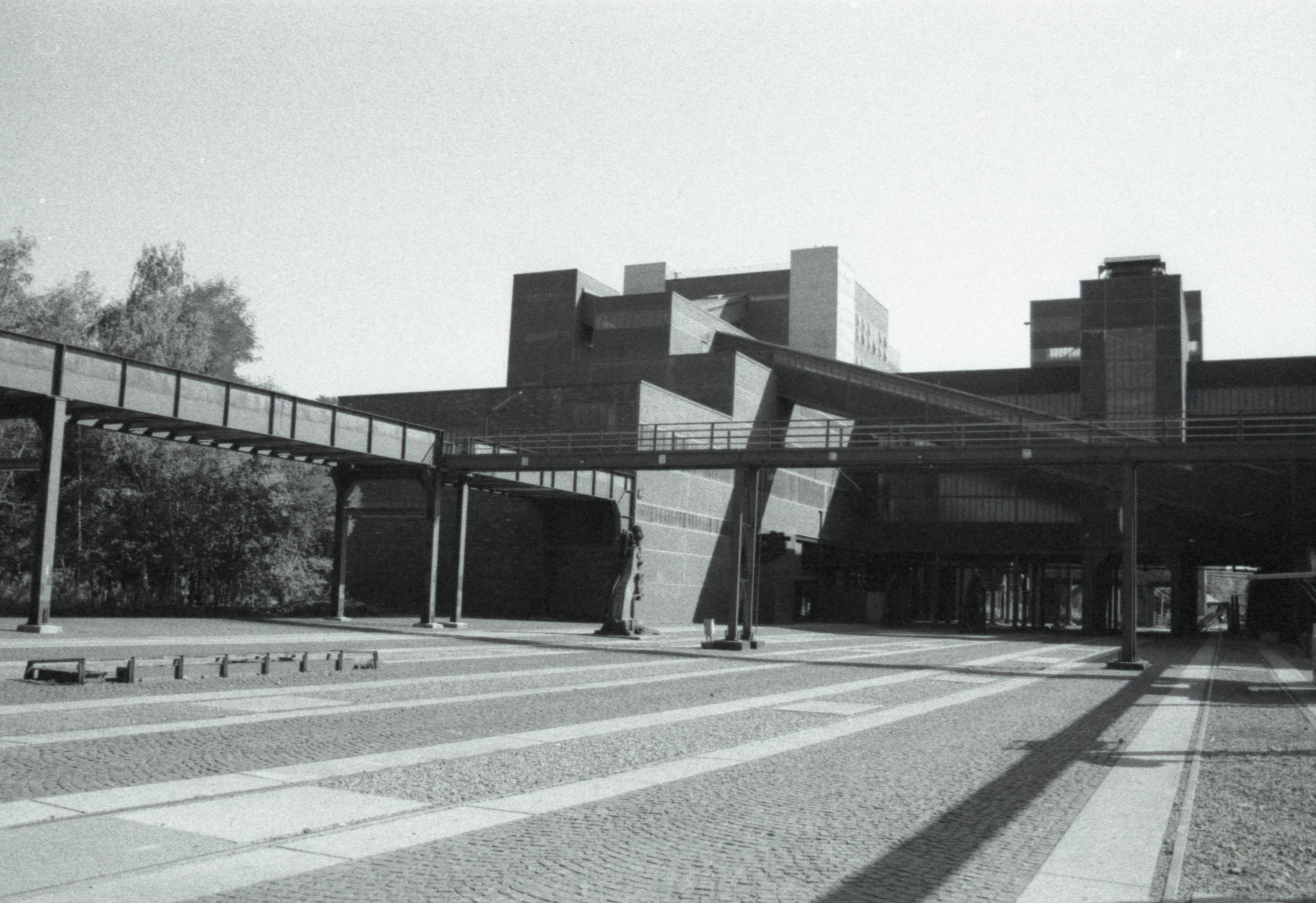 Analog - Photo 18