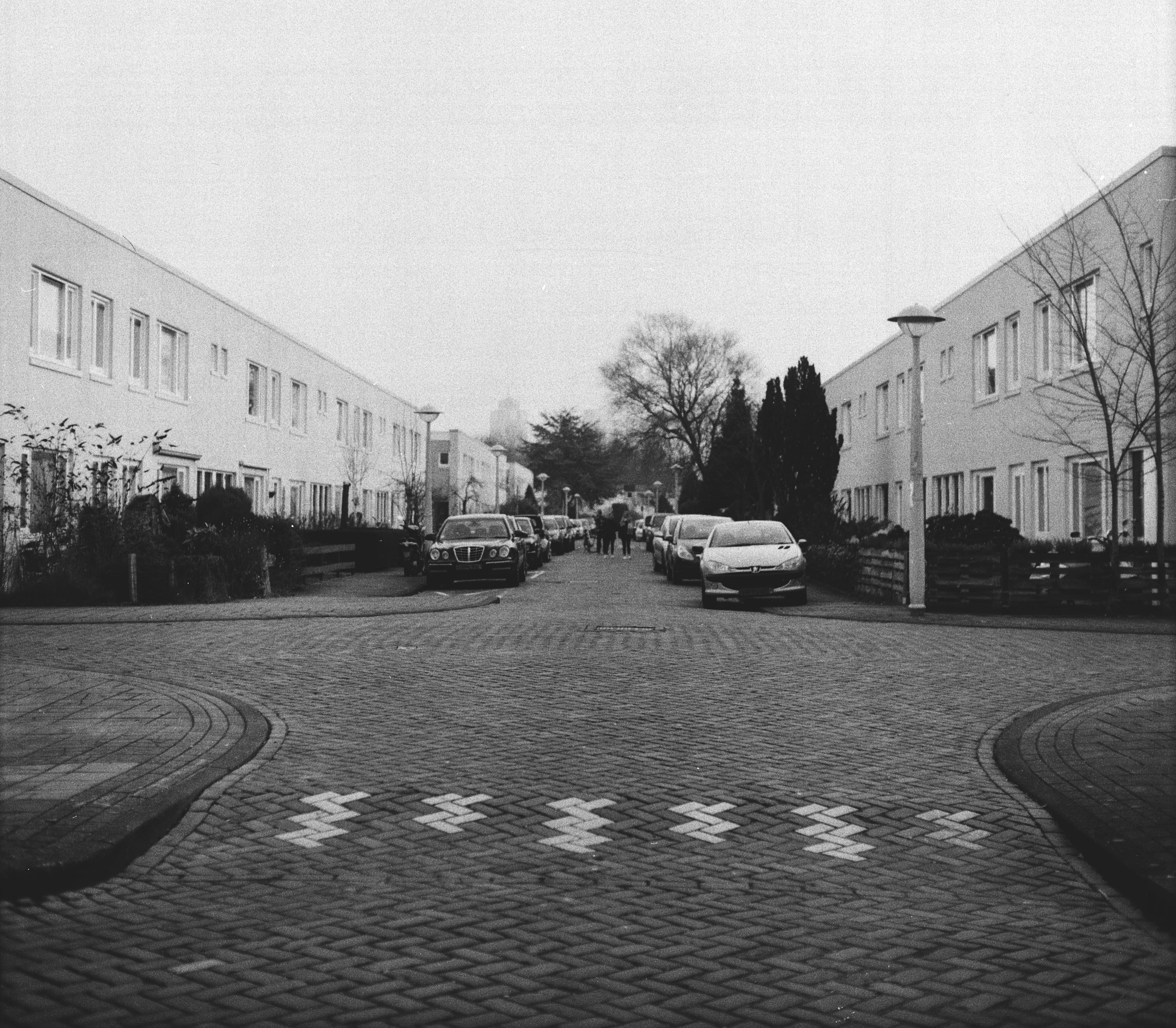 Analog - Photo 19