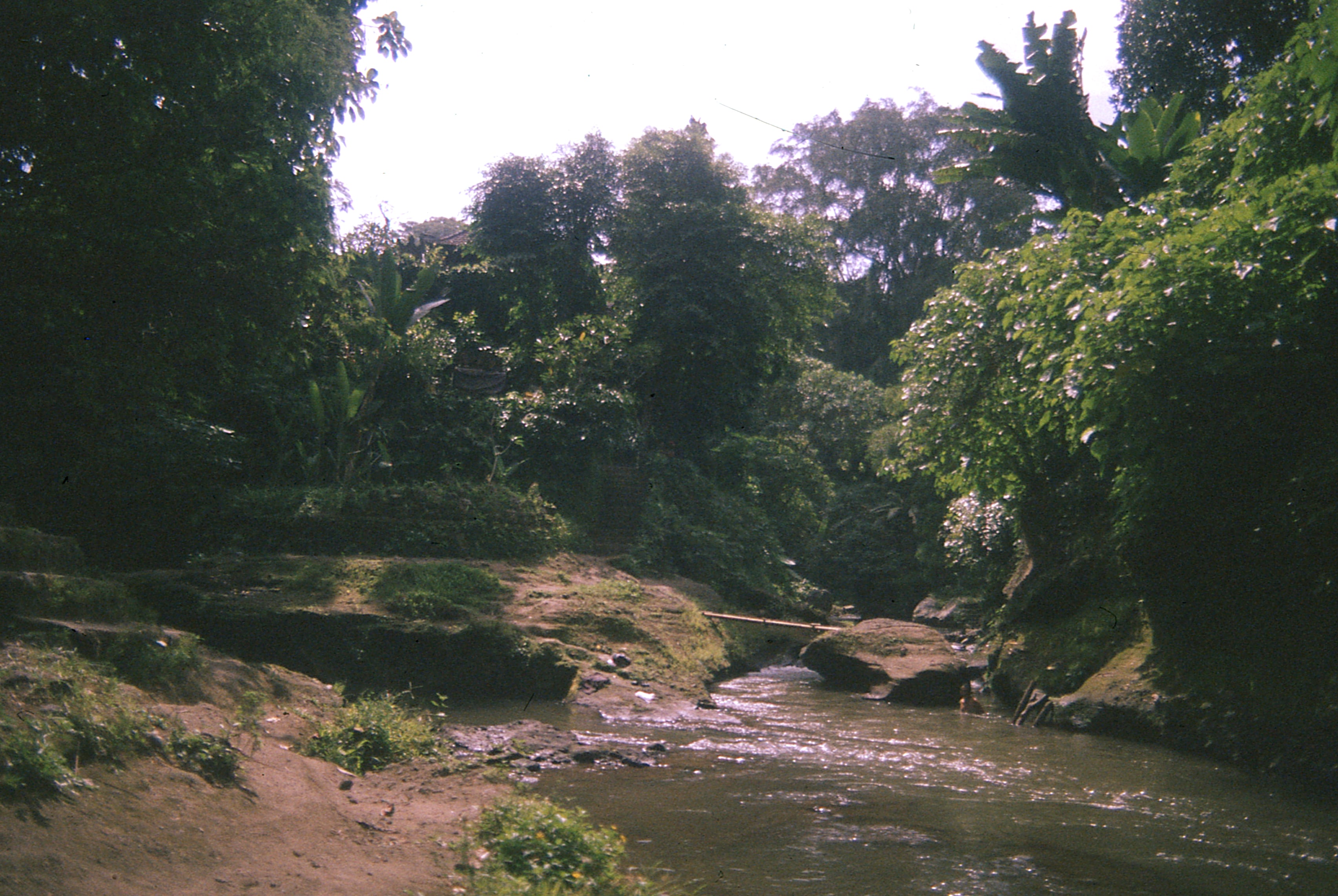 Indonesia - Photo 16