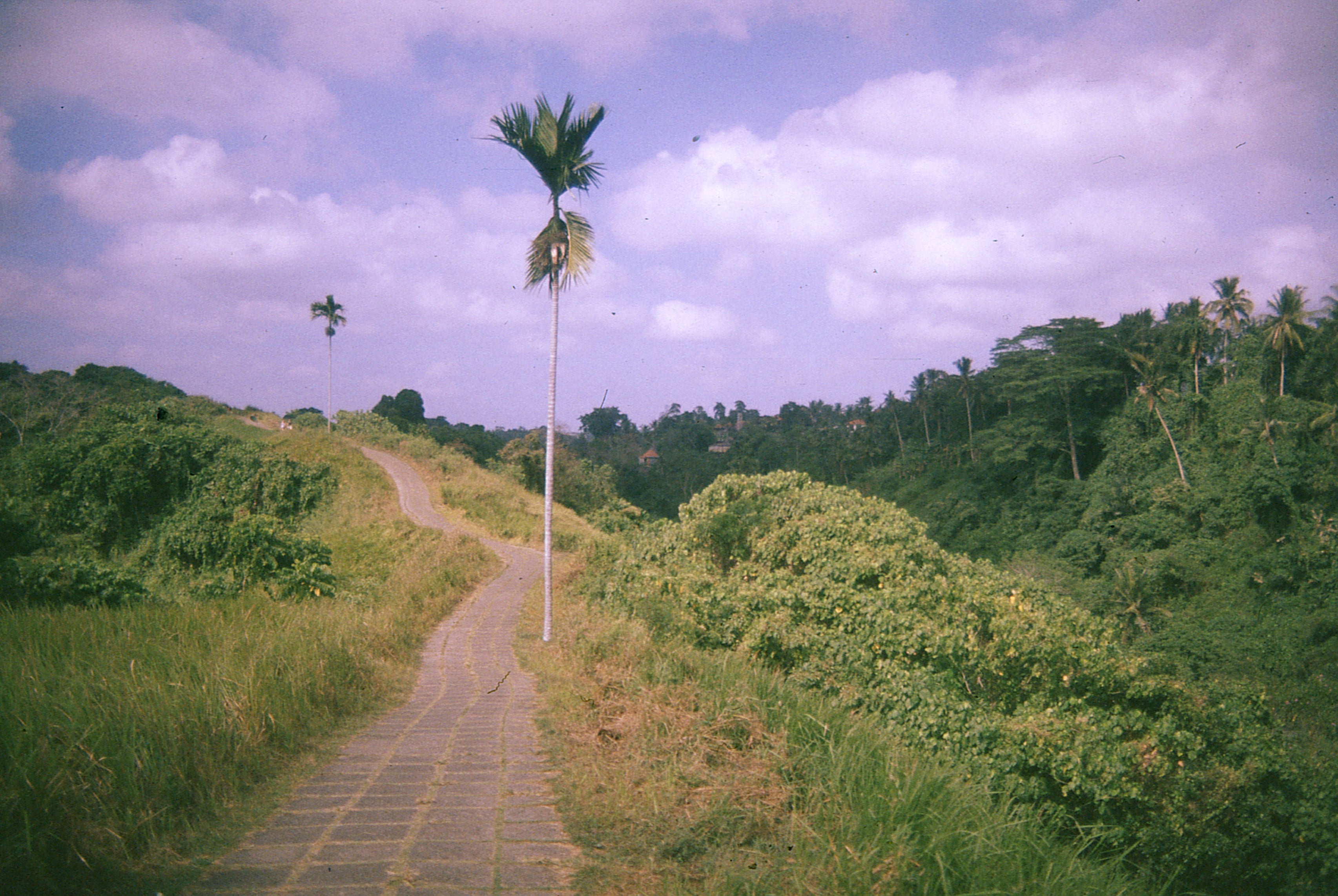 Indonesia - Photo 19