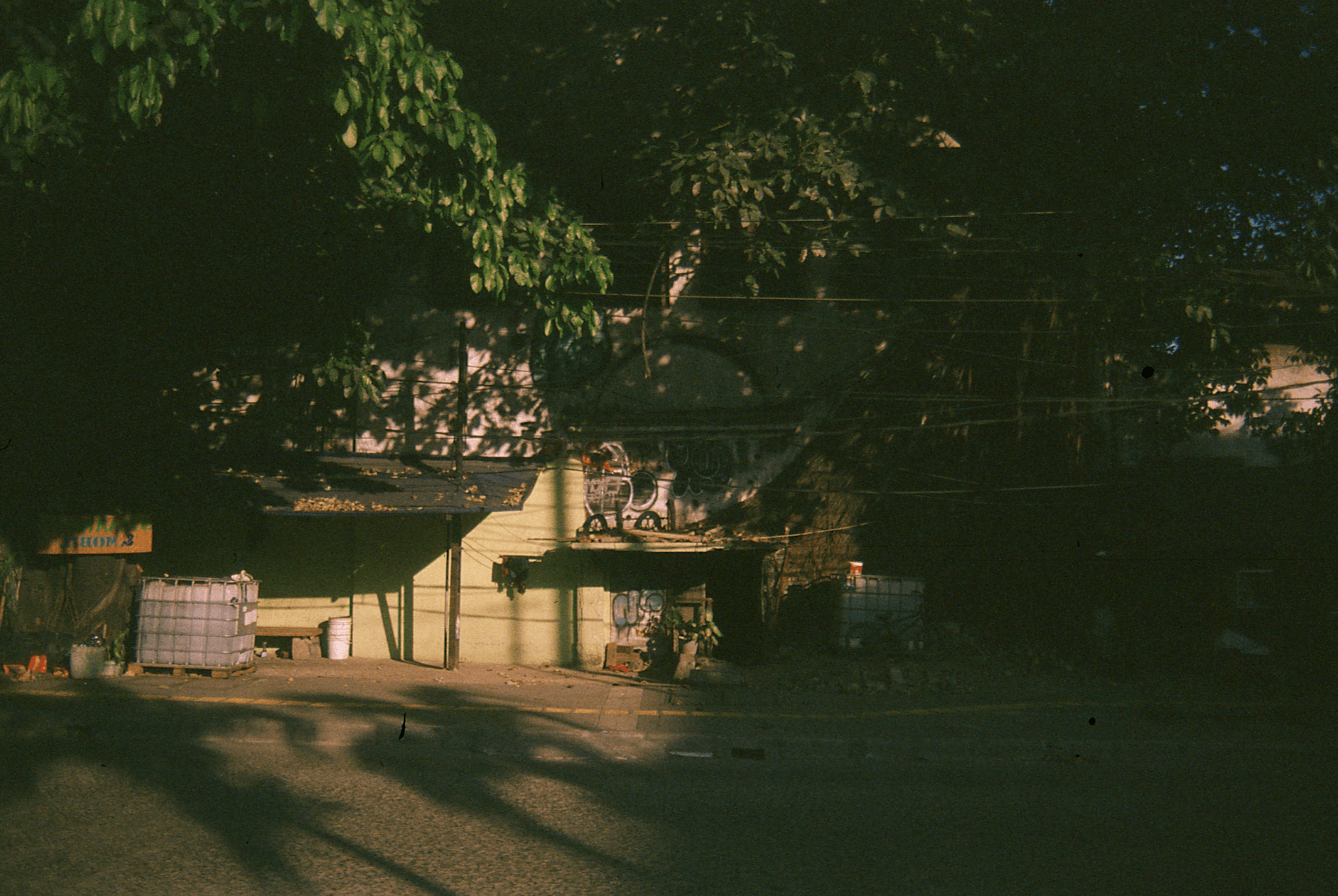 Indonesia - Photo 34