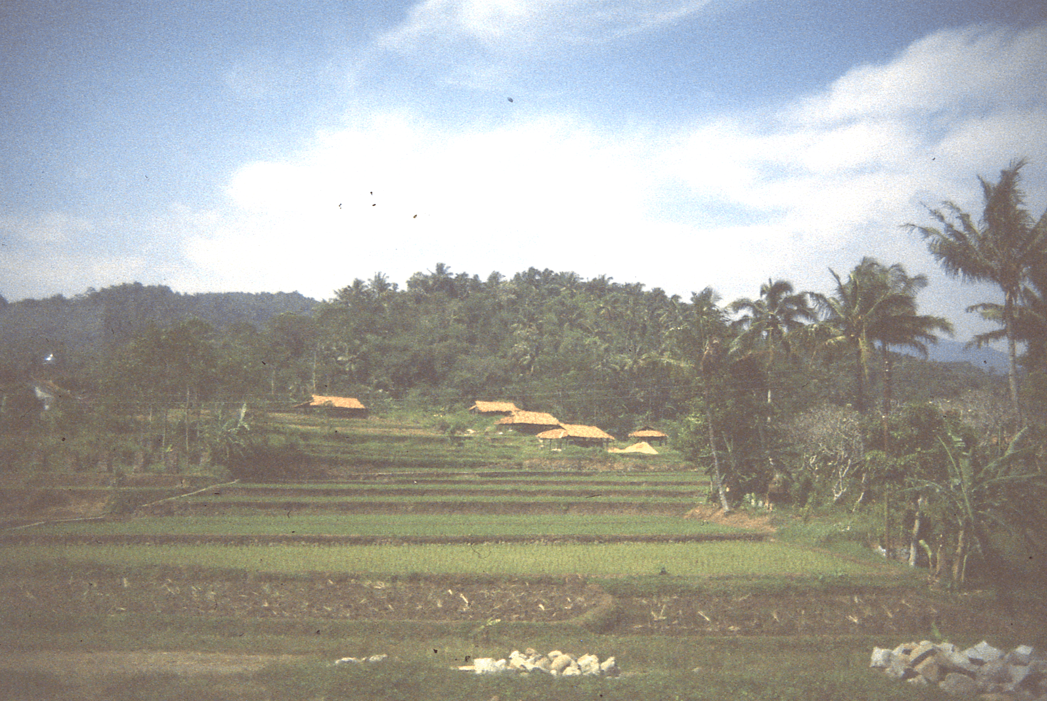Indonesia - Photo 20