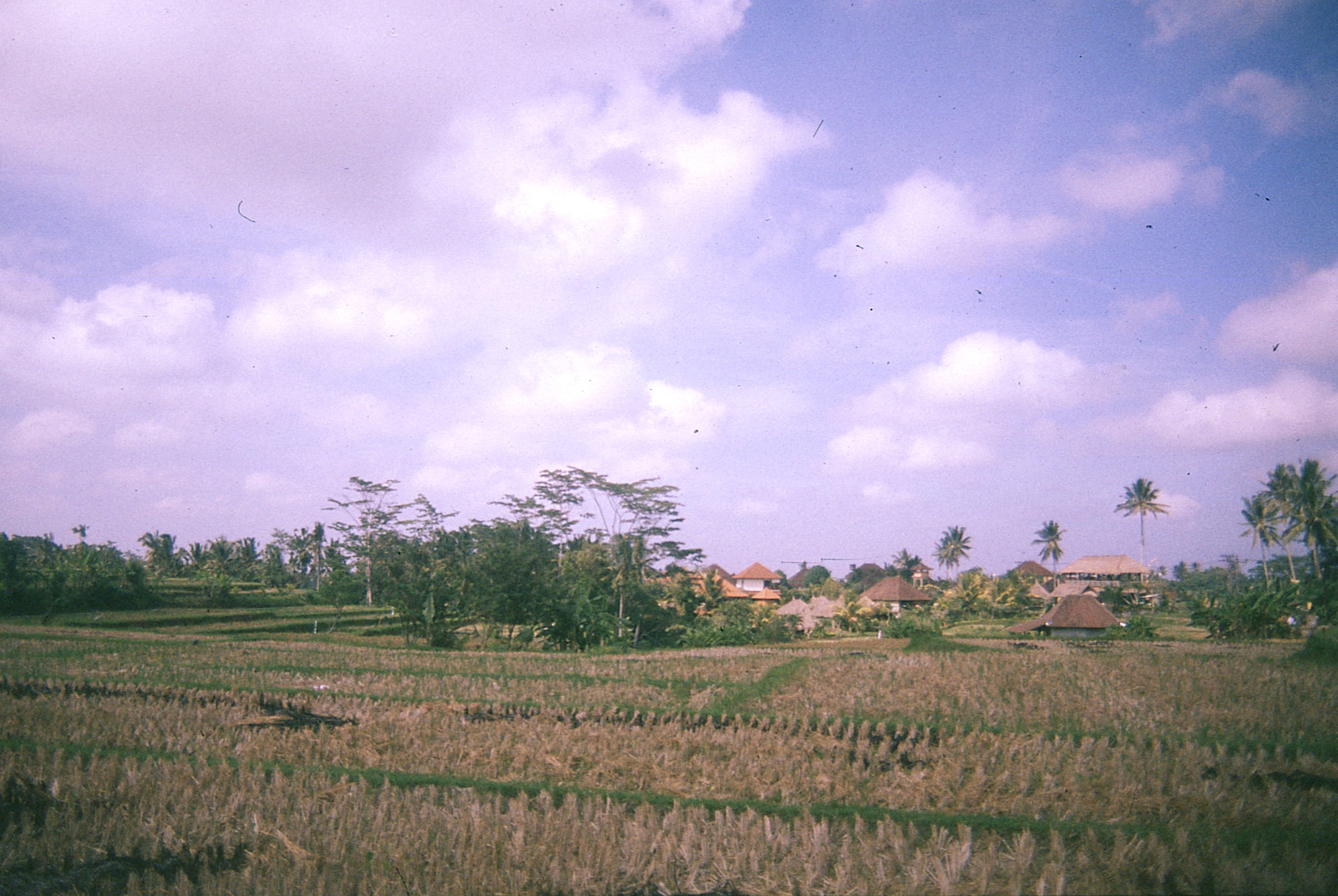Indonesia - Photo 14
