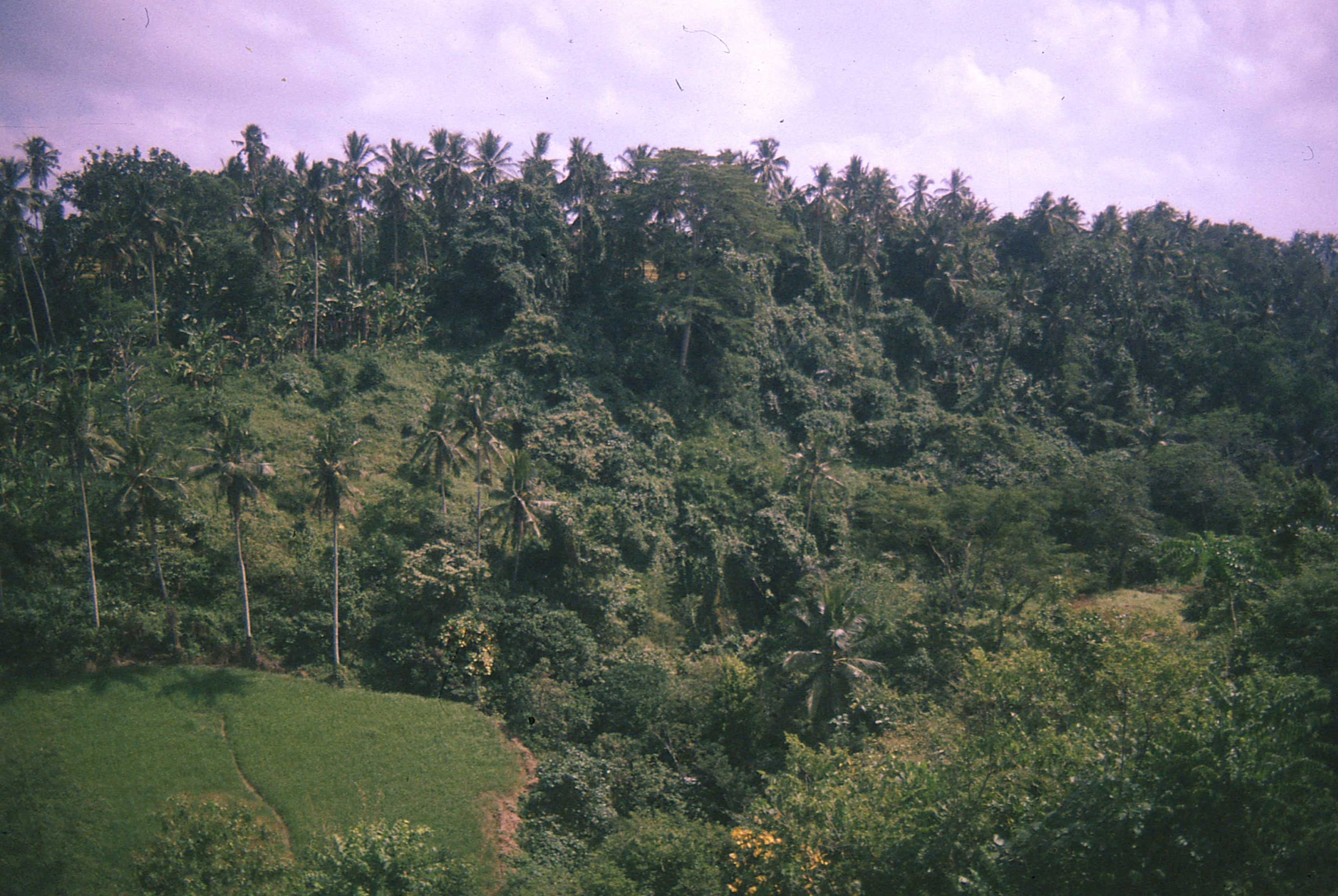 Indonesia - Photo 9