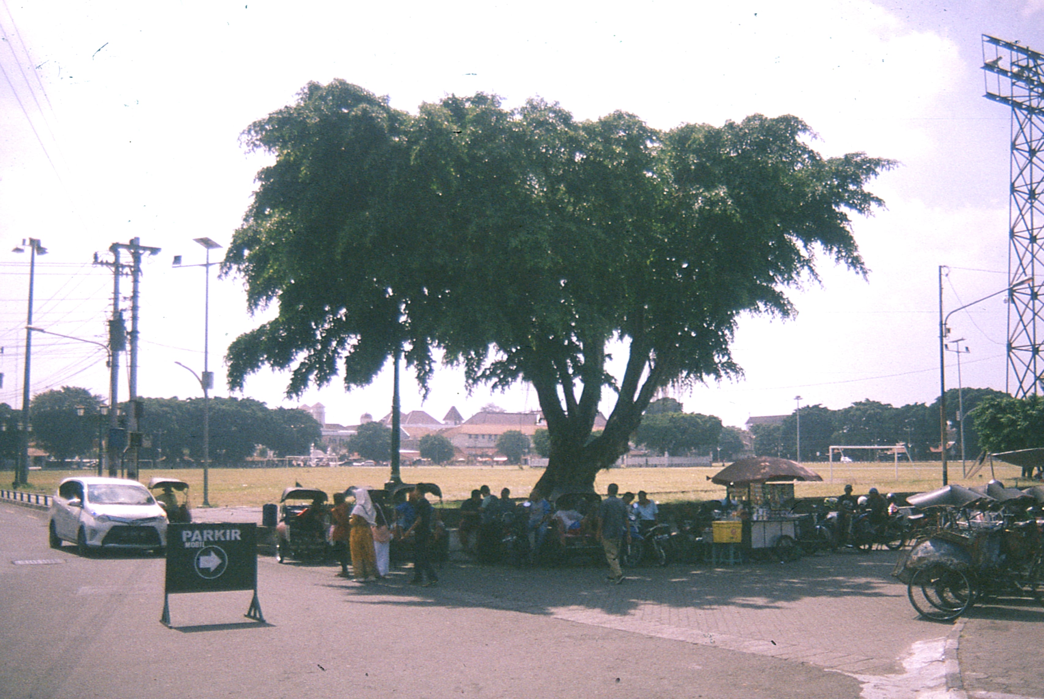 Indonesia - Photo 26