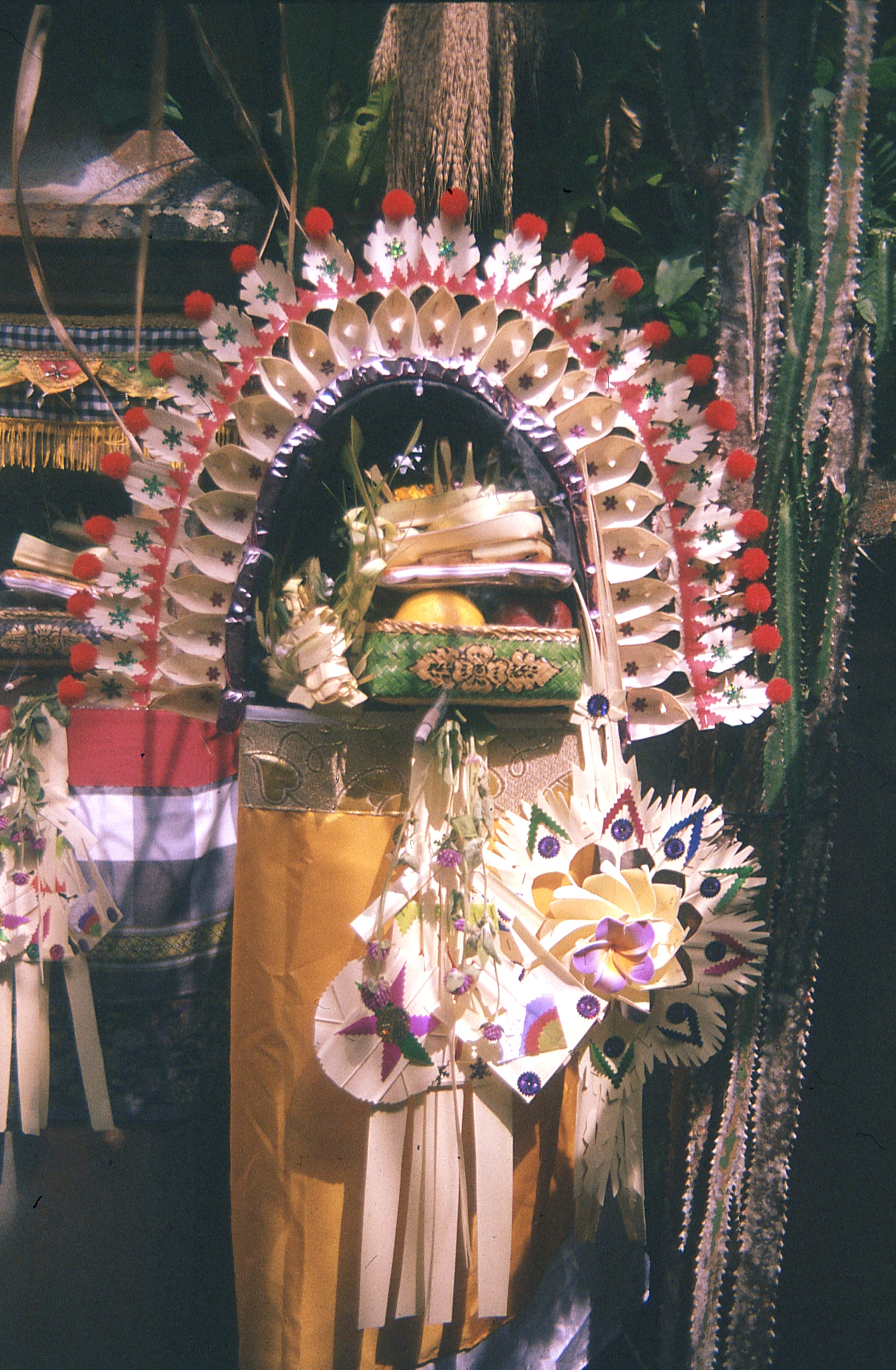 Indonesia - Photo 22