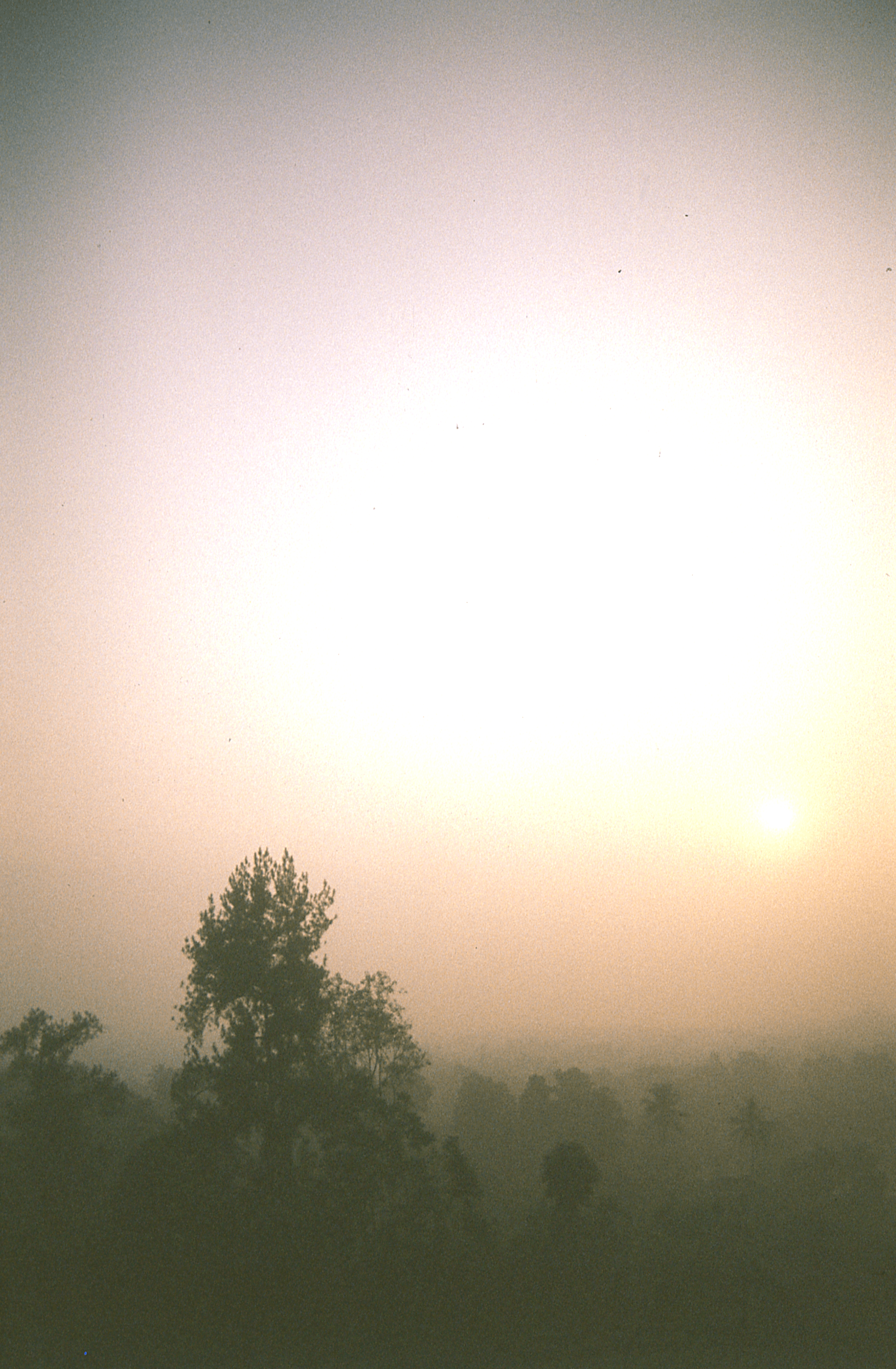 Indonesia - Photo 10