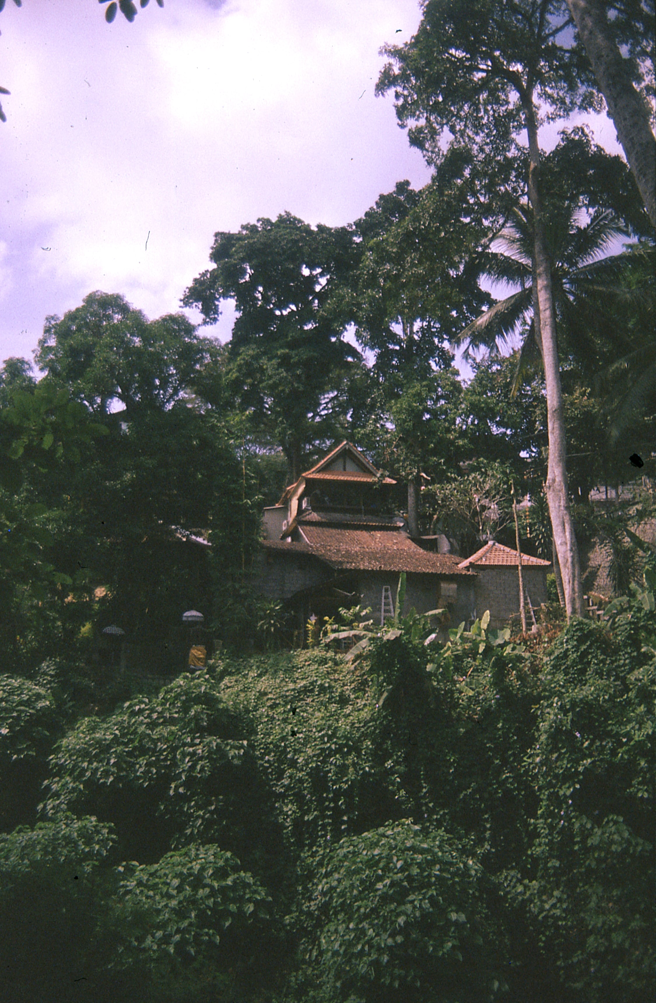 Indonesia - Photo 11