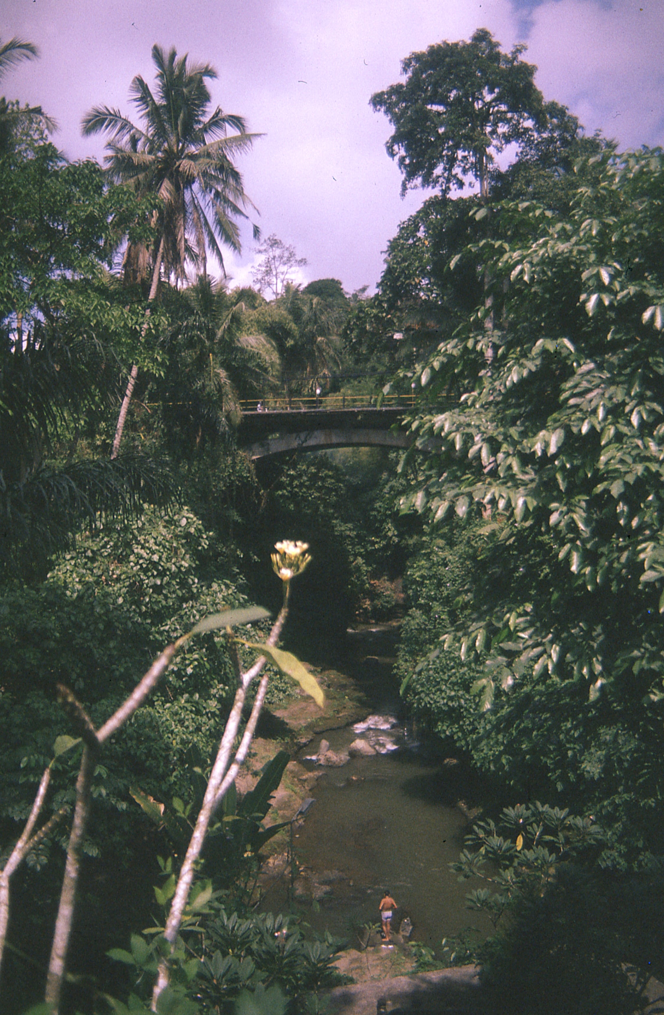 Indonesia - Photo 15