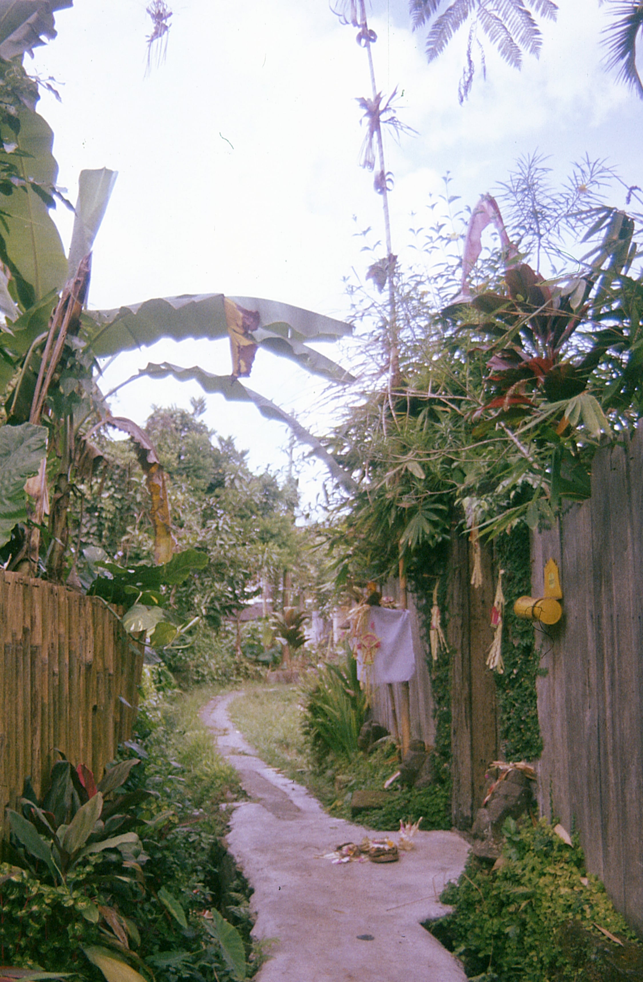 Indonesia - Photo 8