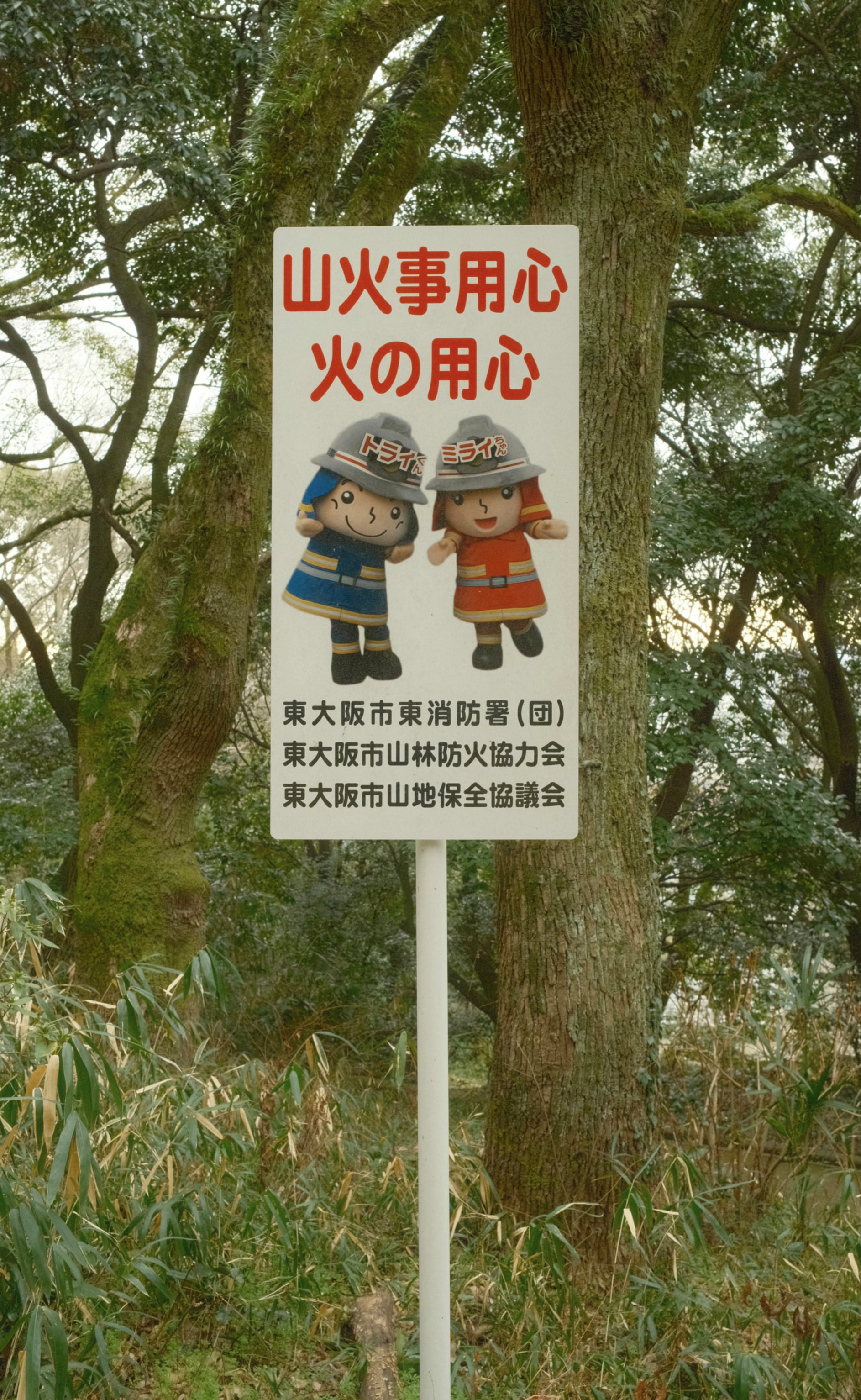 Japan - Photo 106