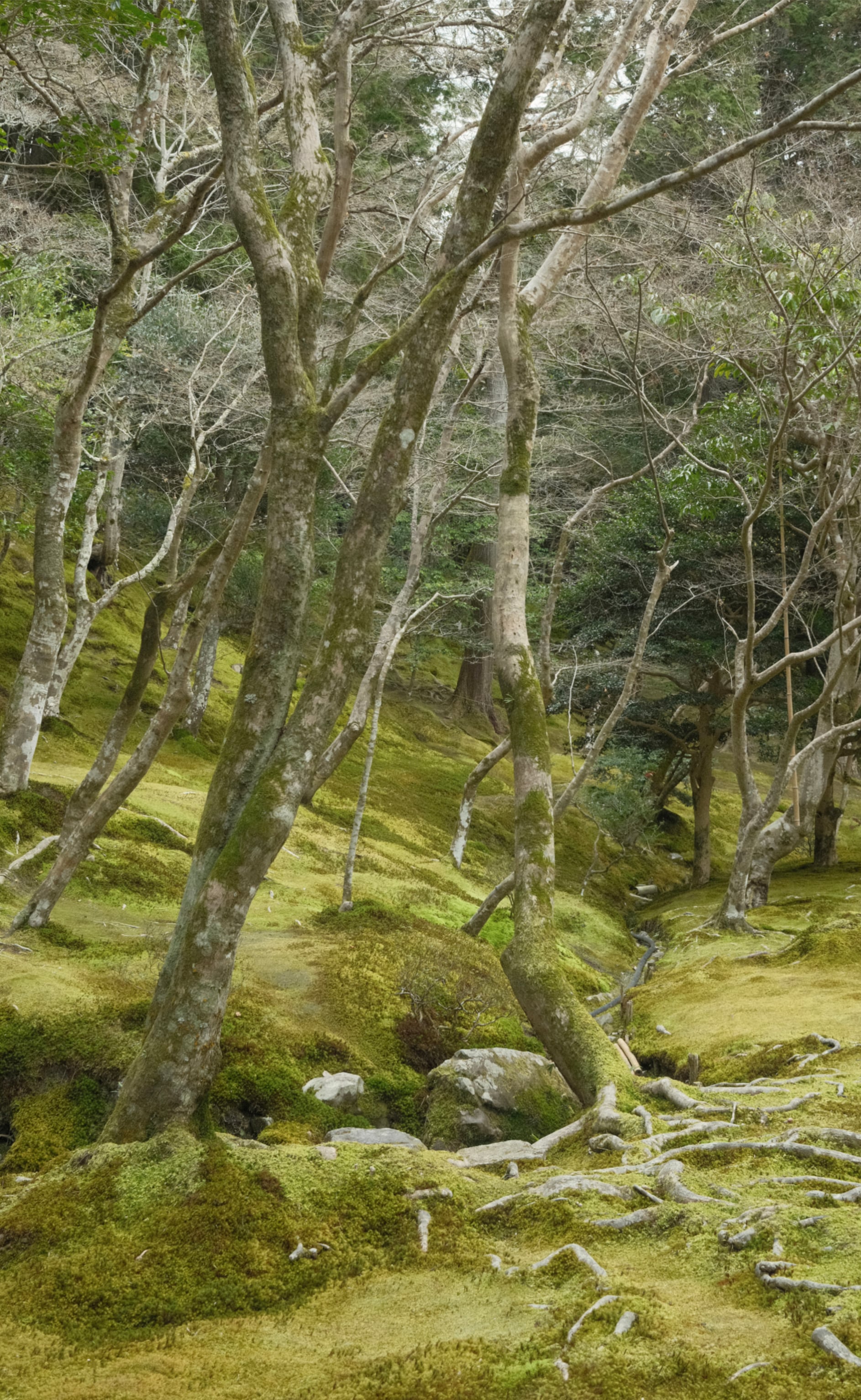 Japan - Photo 94