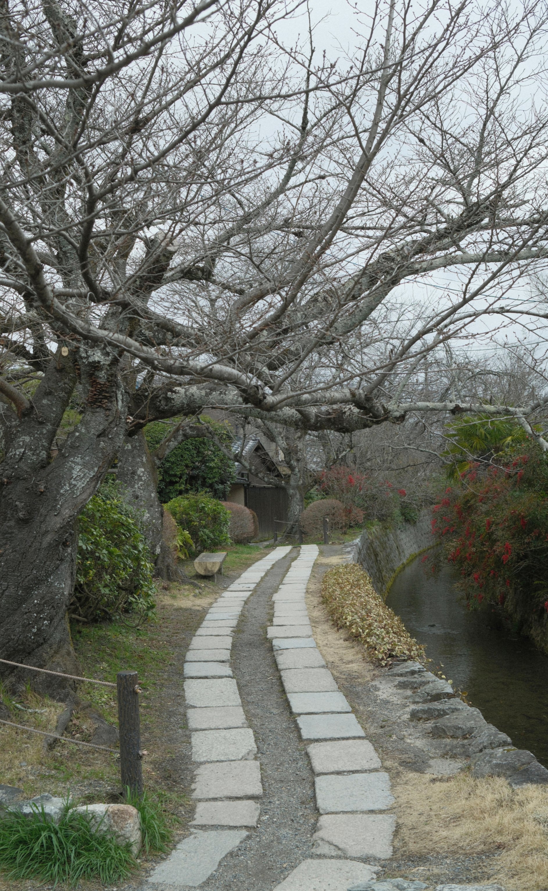 Japan - Photo 103