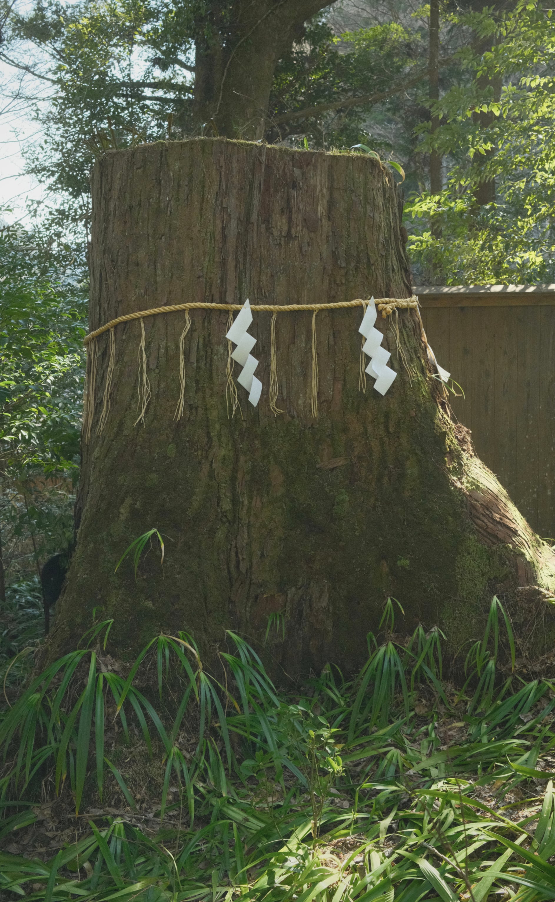 Japan - Photo 101
