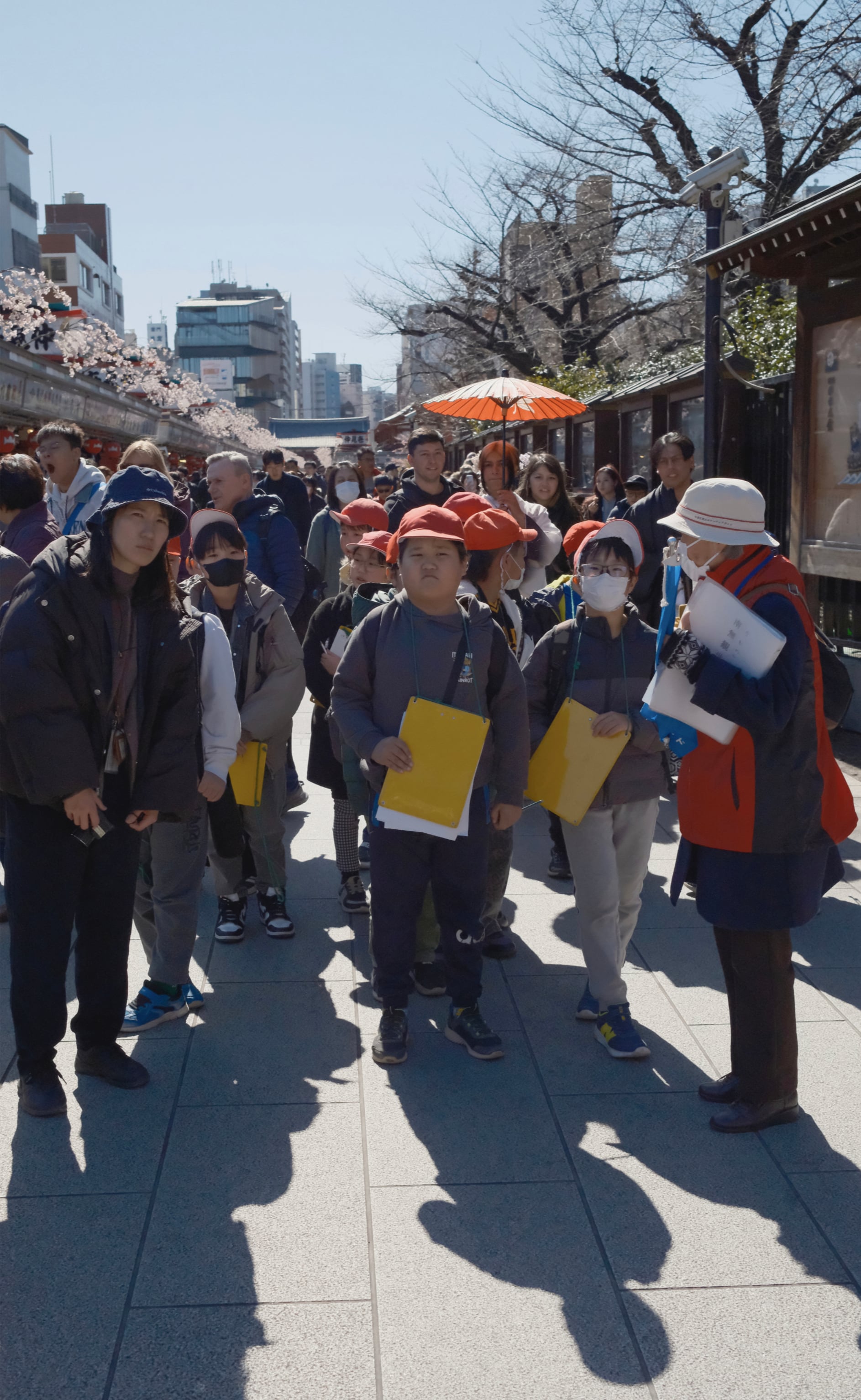 Japan - Photo 1