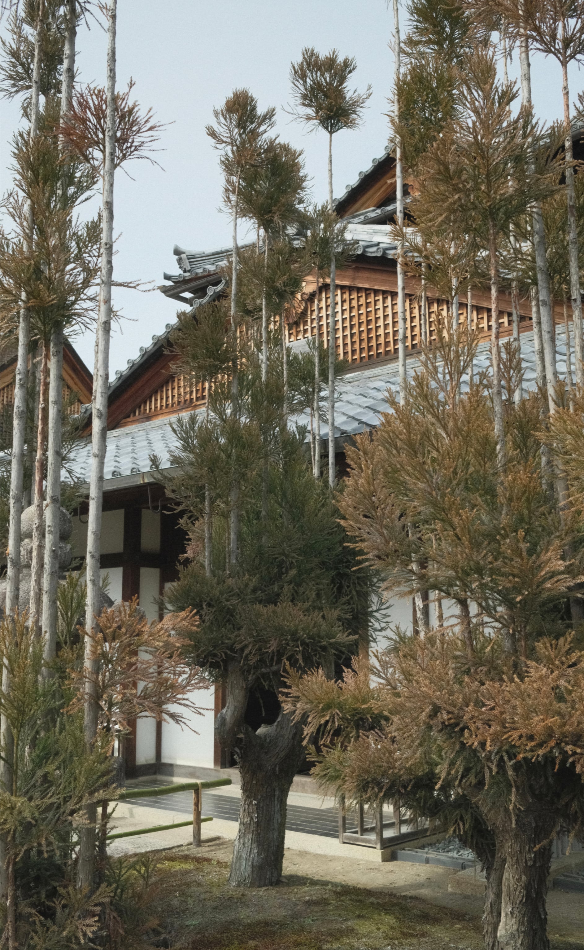 Japan - Photo 79