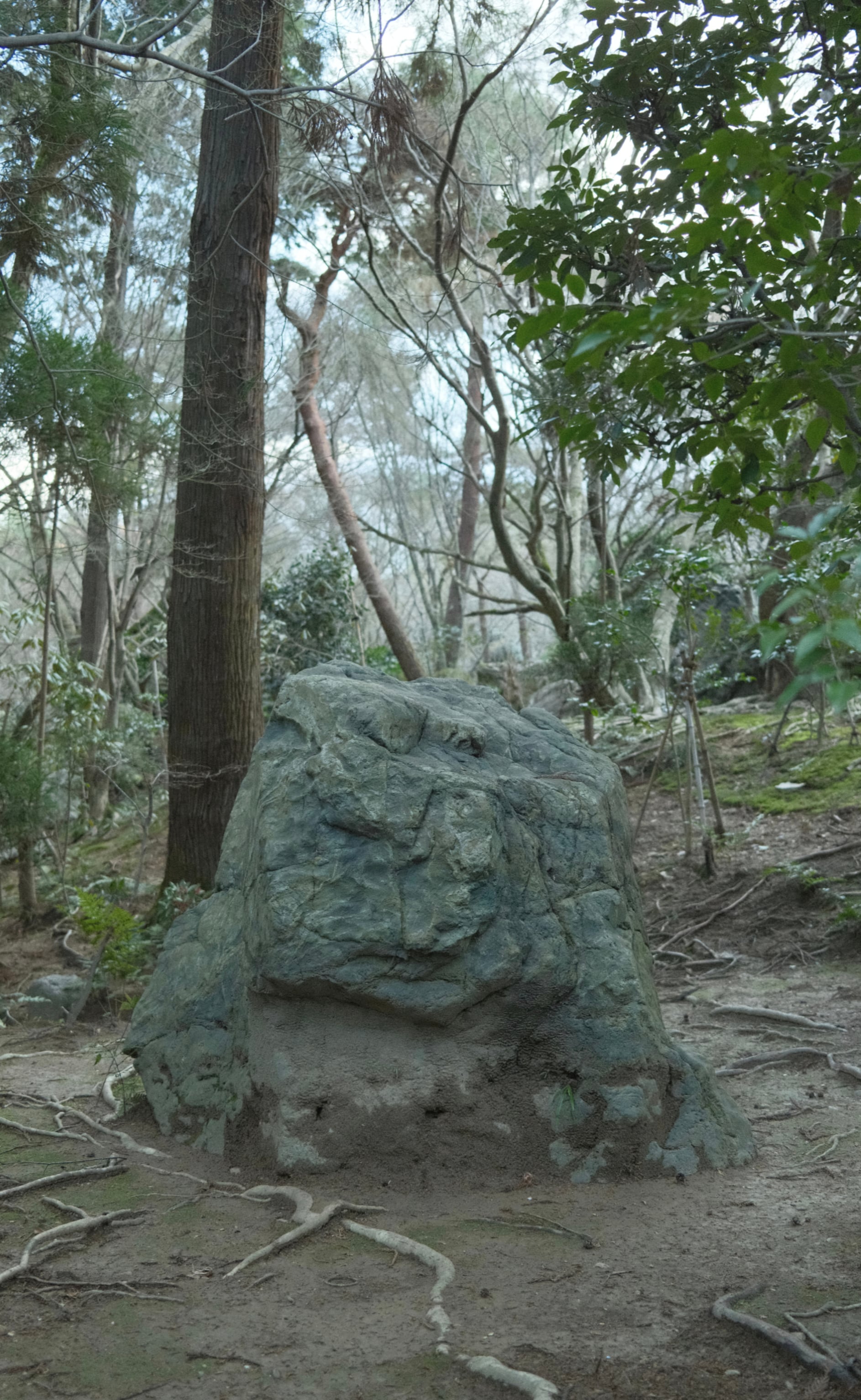 Japan - Photo 18