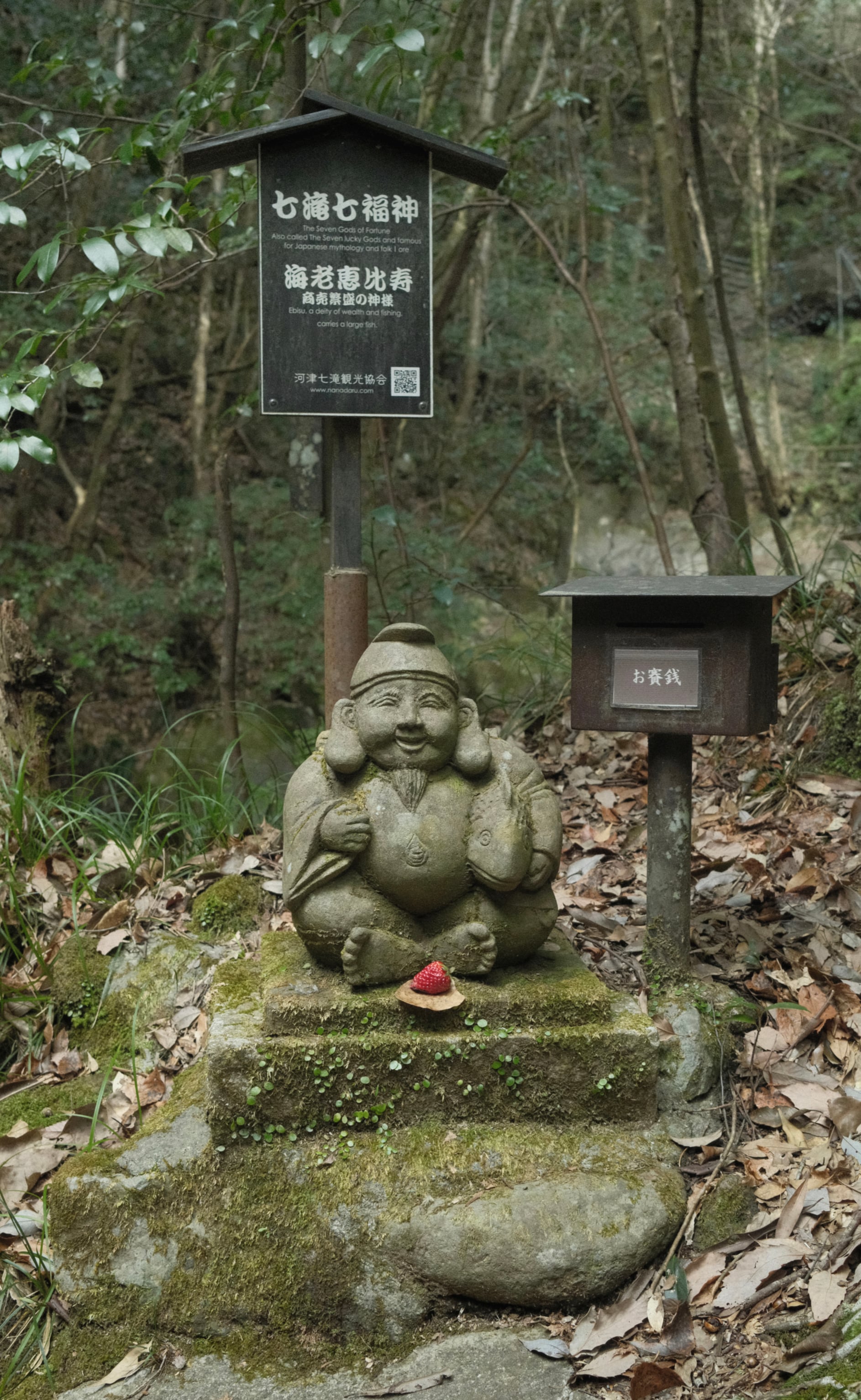 Japan - Photo 19