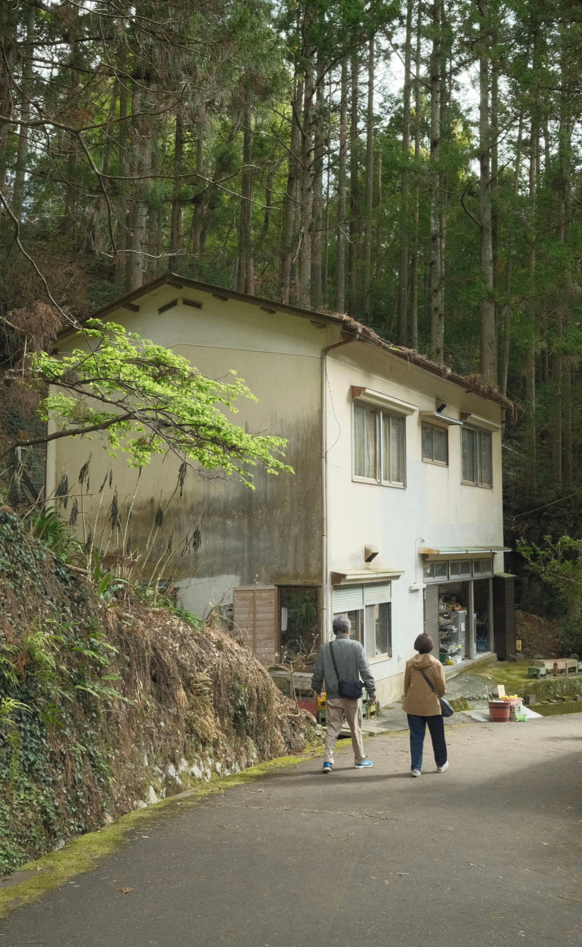 Japan - Photo 22