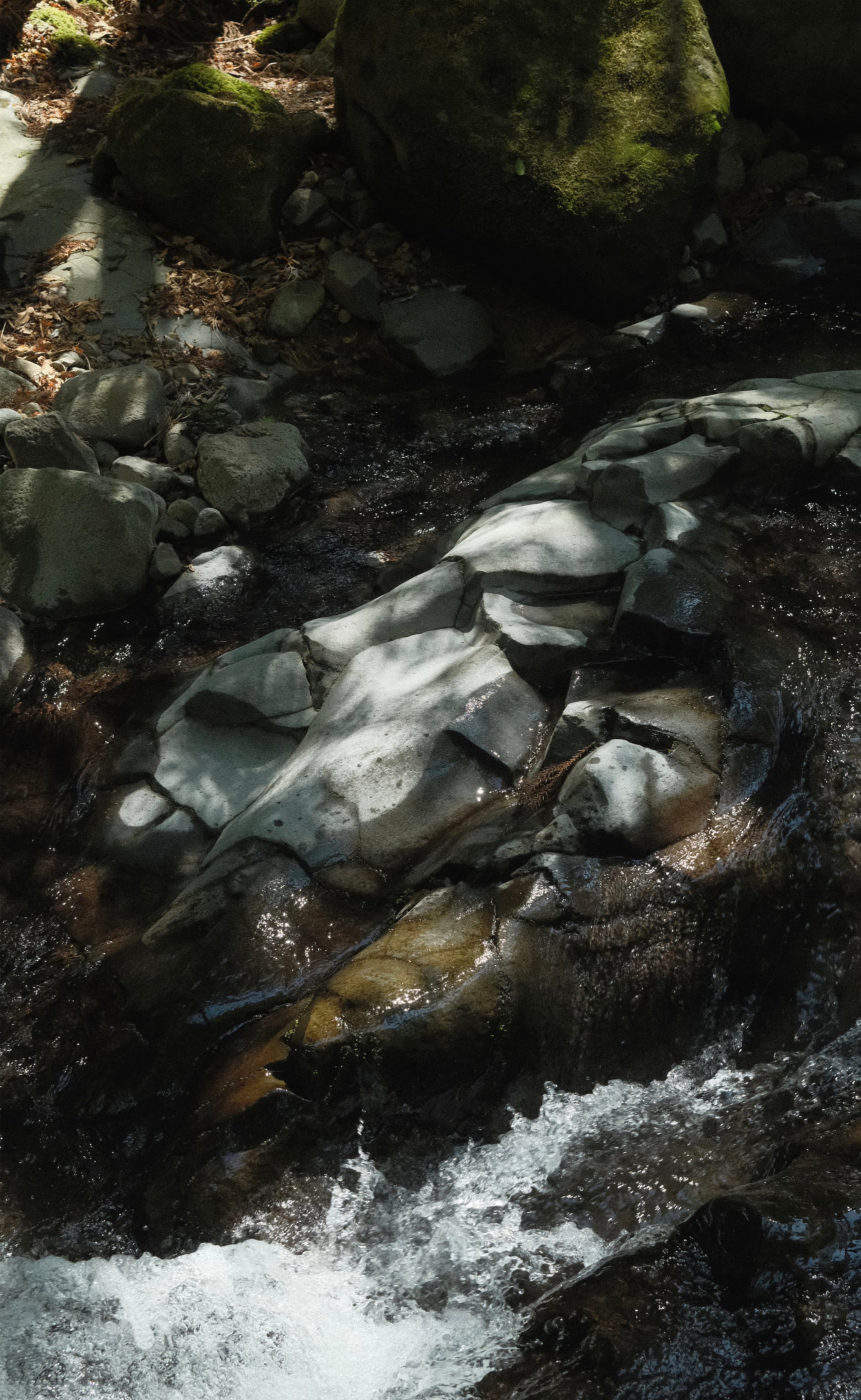 Japan - Photo 23