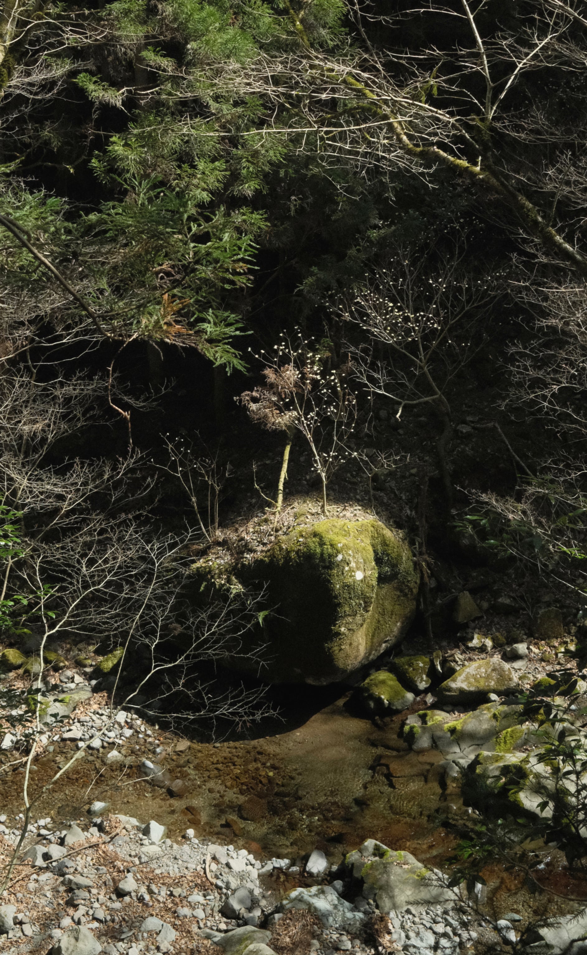 Japan - Photo 109