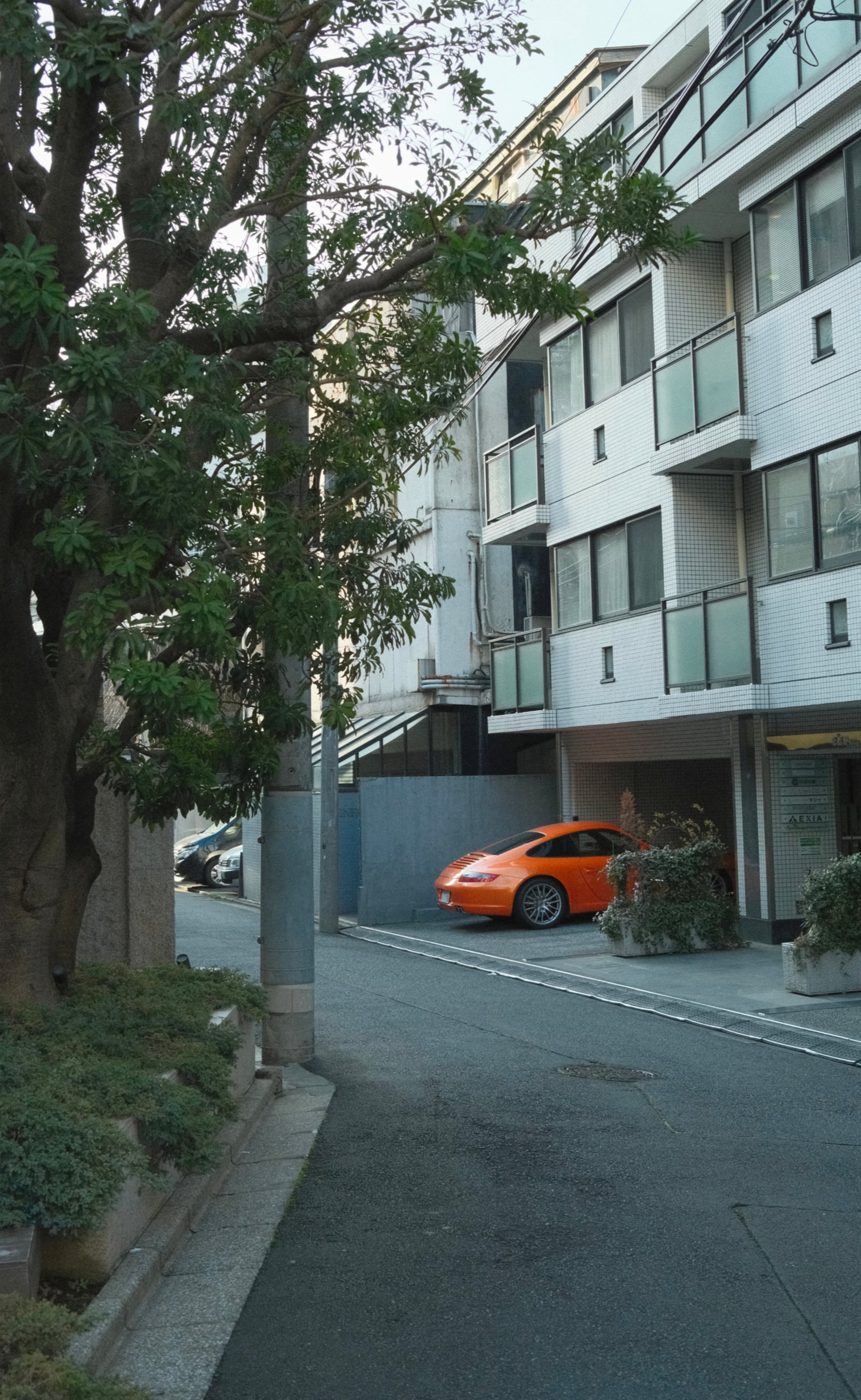 Japan - Photo 74