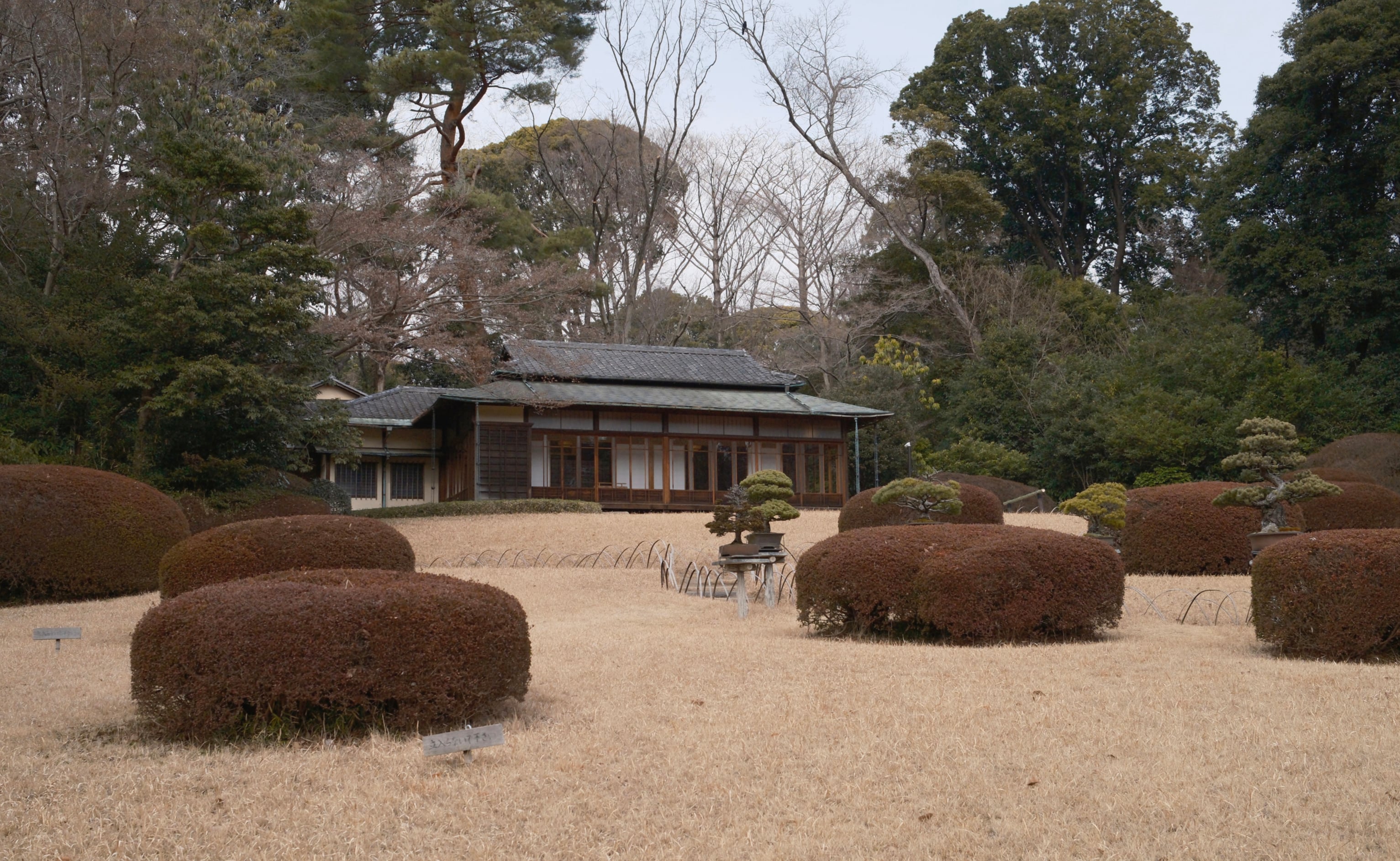 Japan - Photo 3