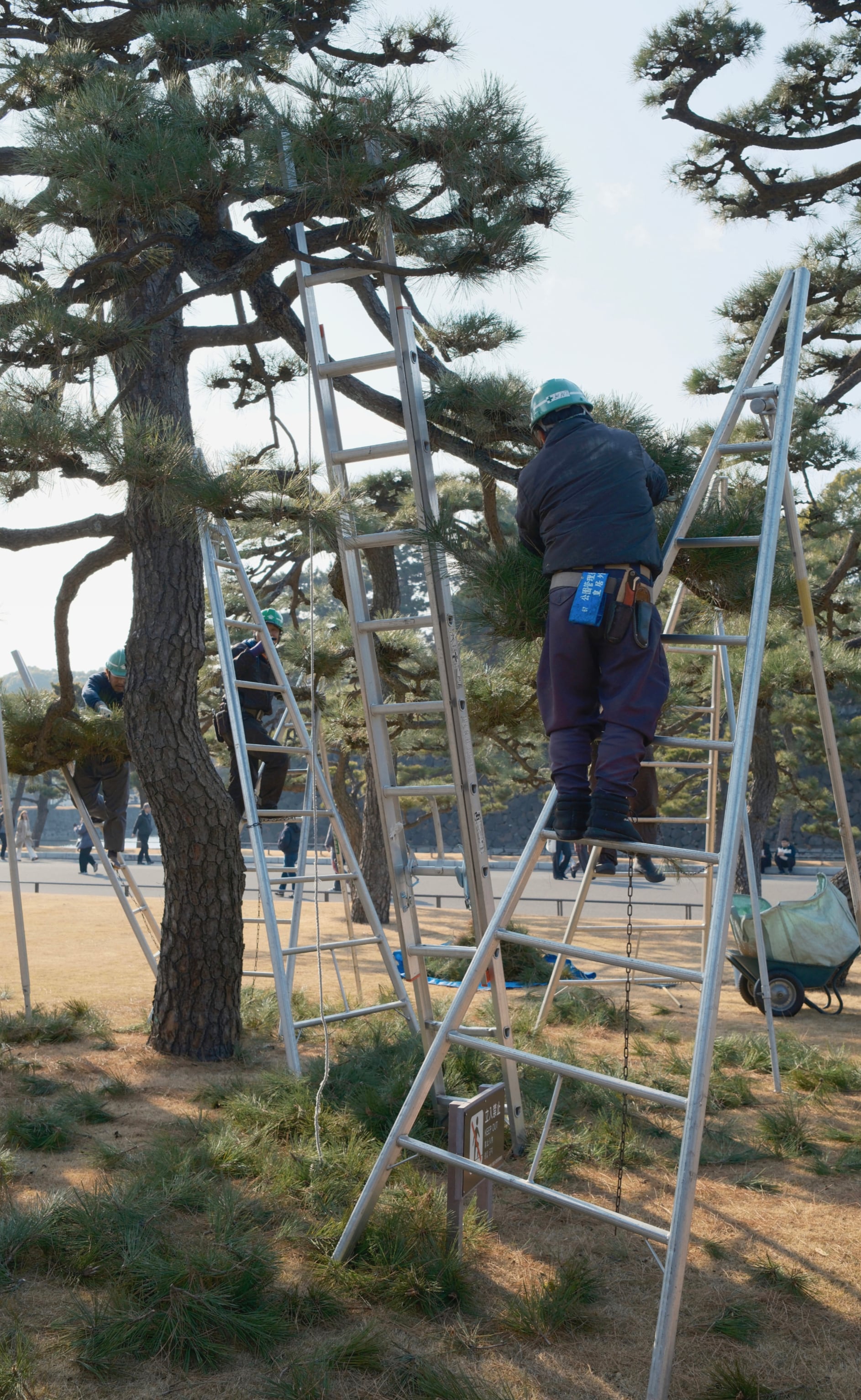 Japan - Photo 6