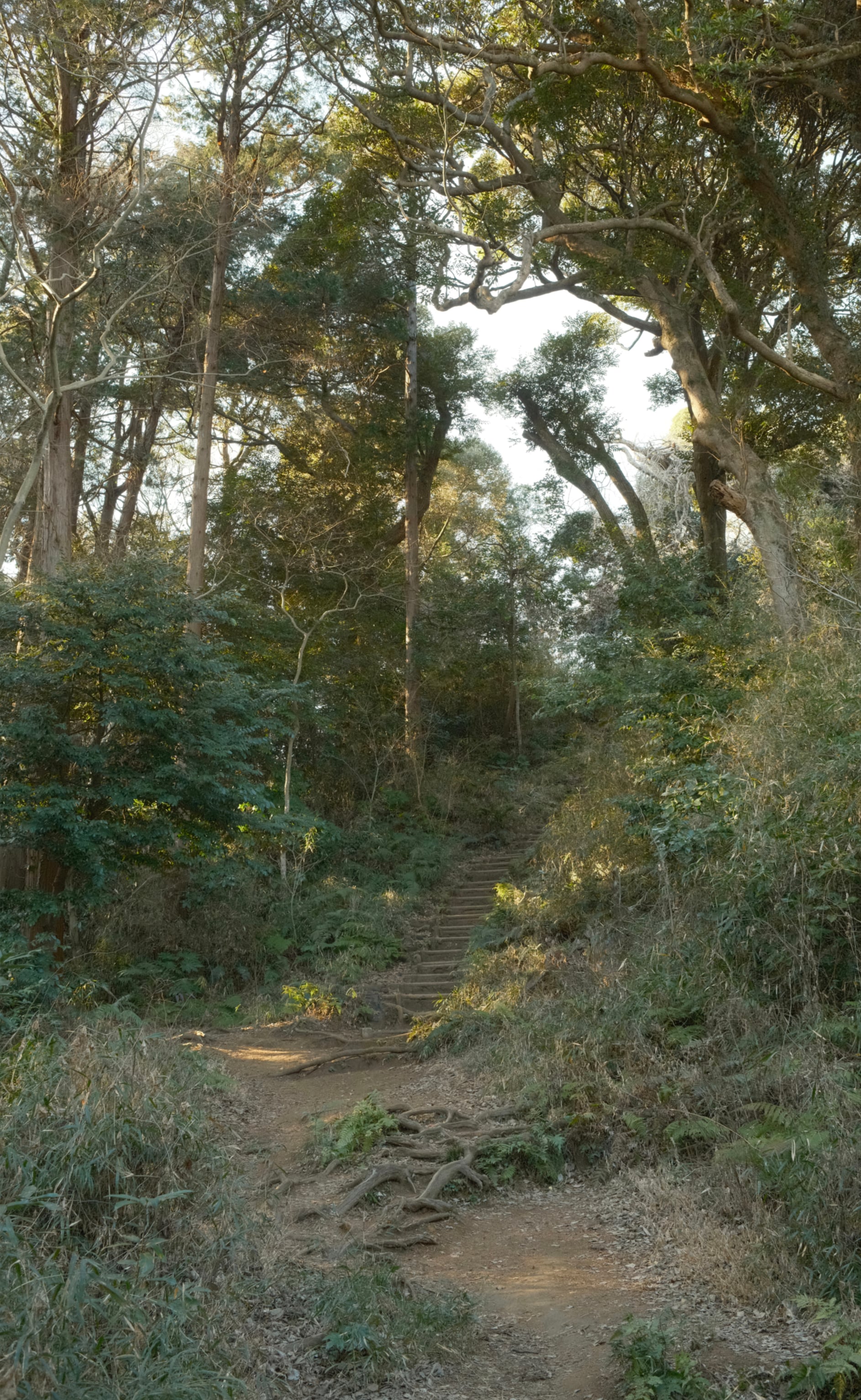 Japan - Photo 15