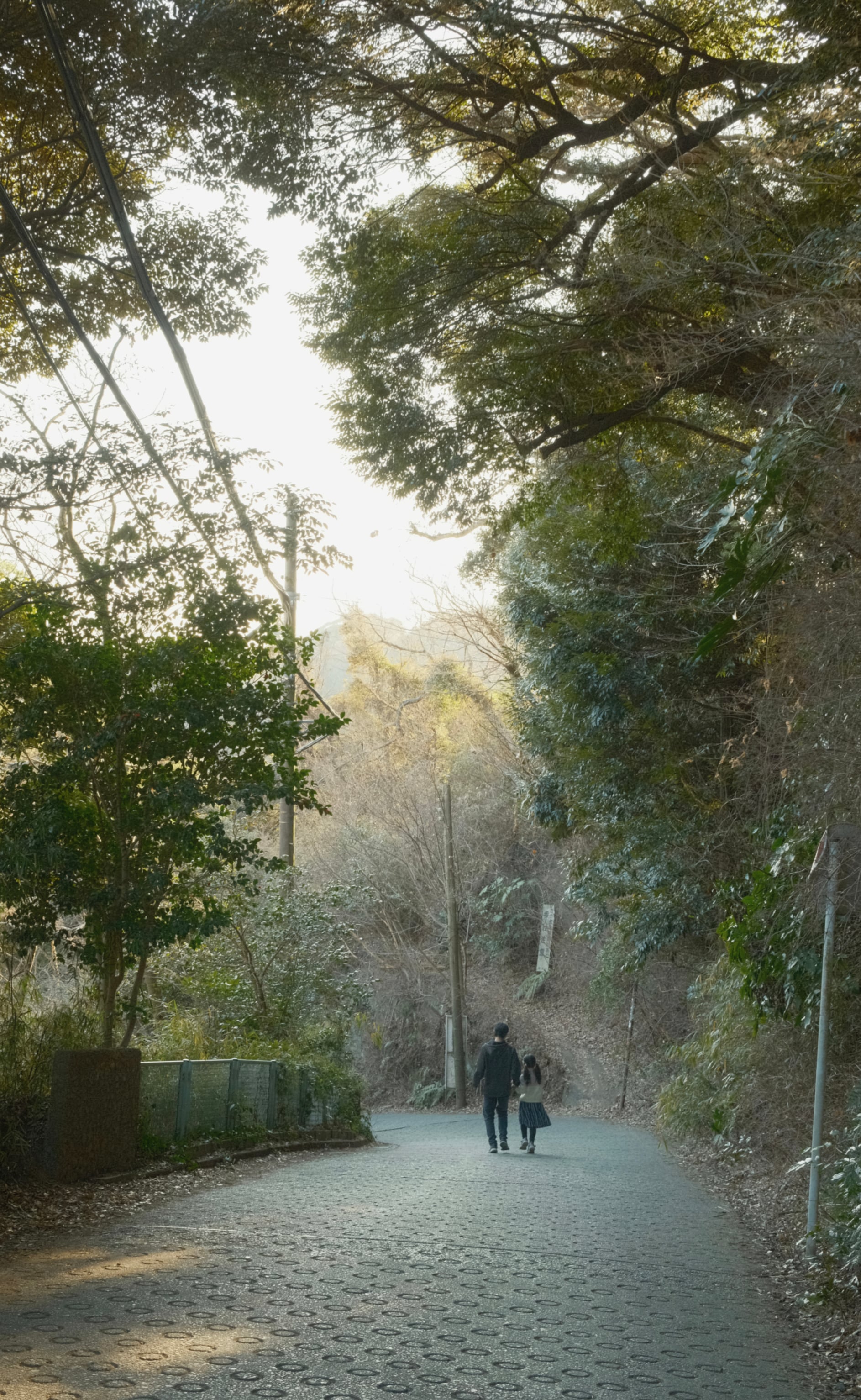 Japan - Photo 14