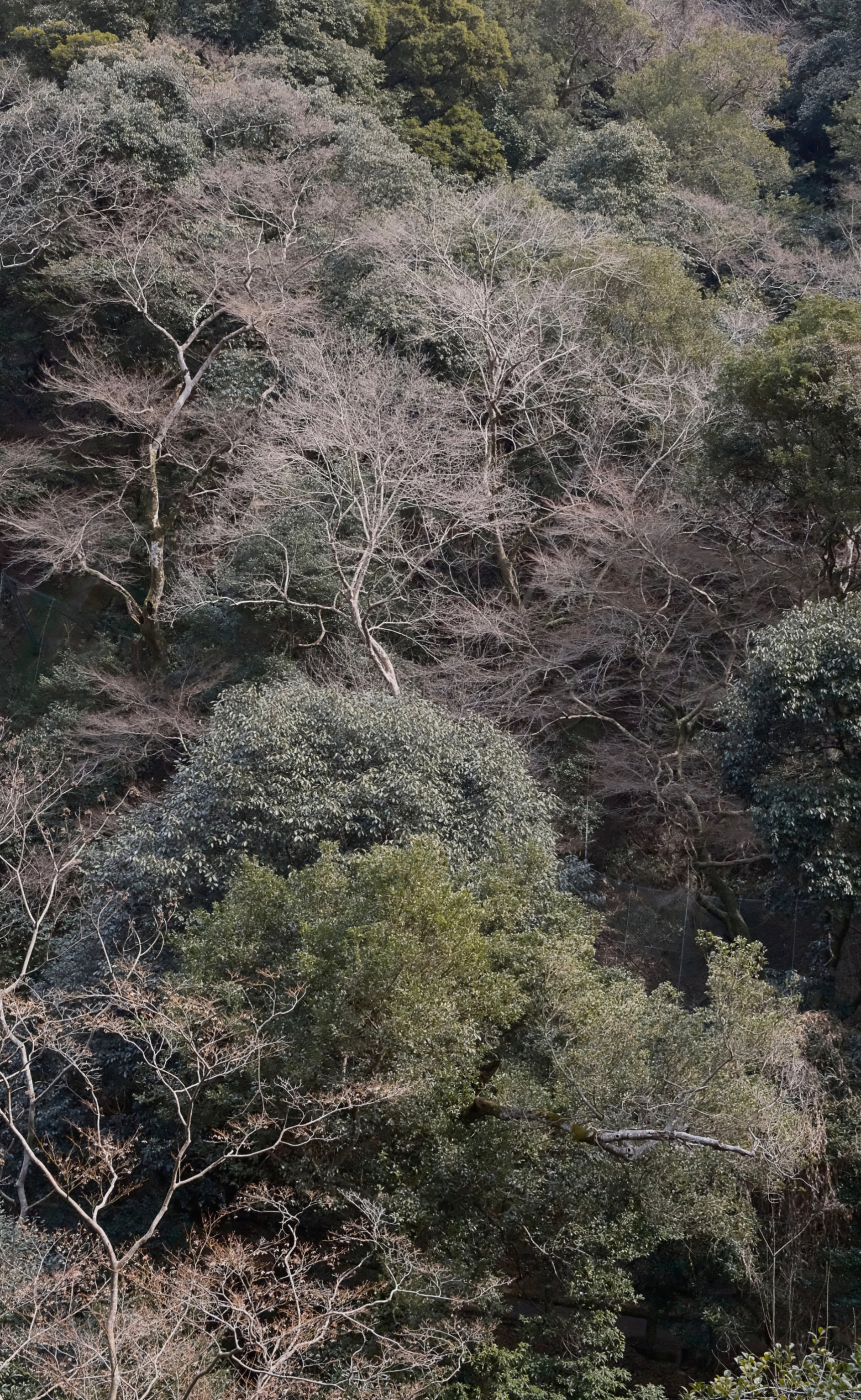 Japan - Photo 91