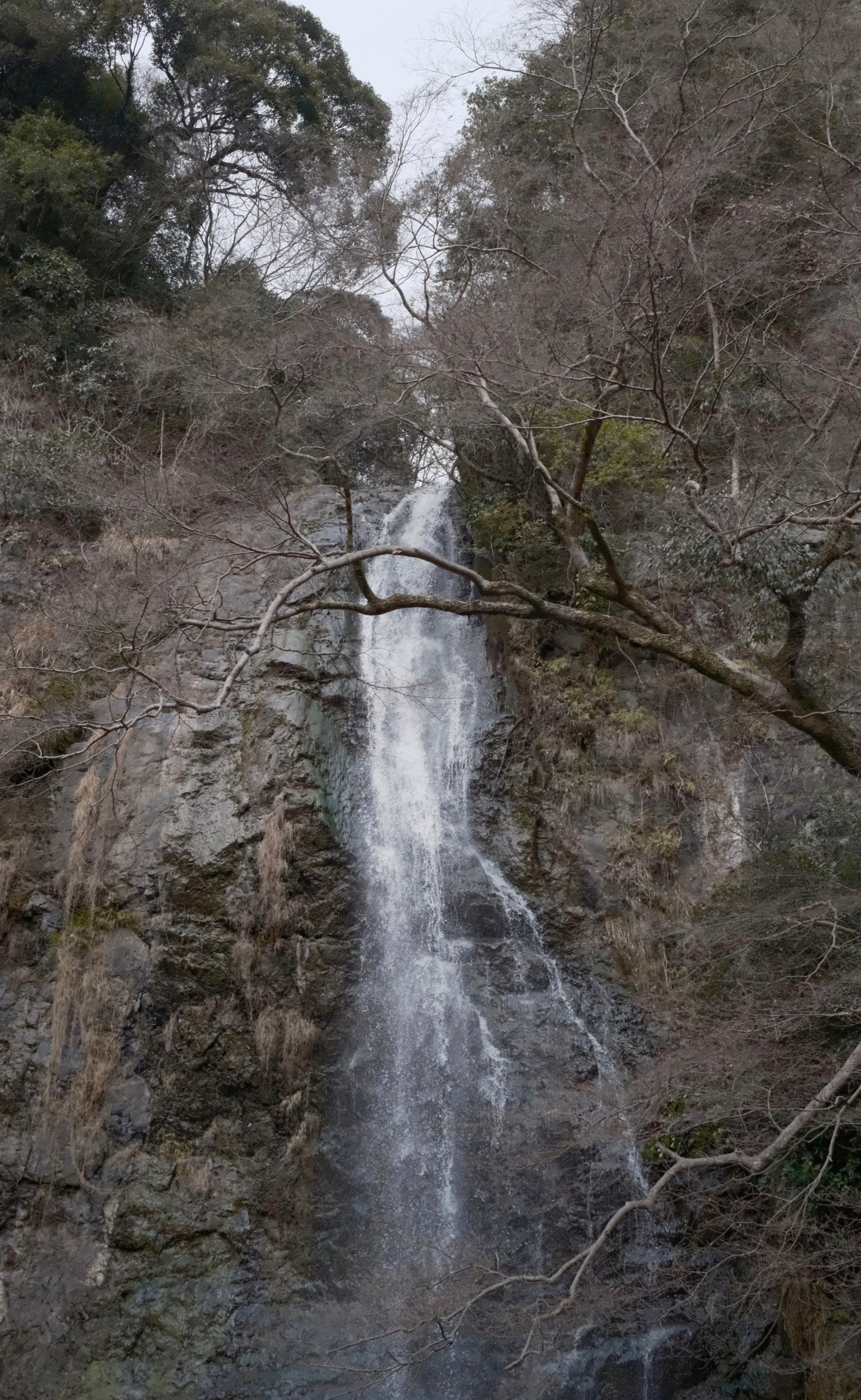 Japan - Photo 45