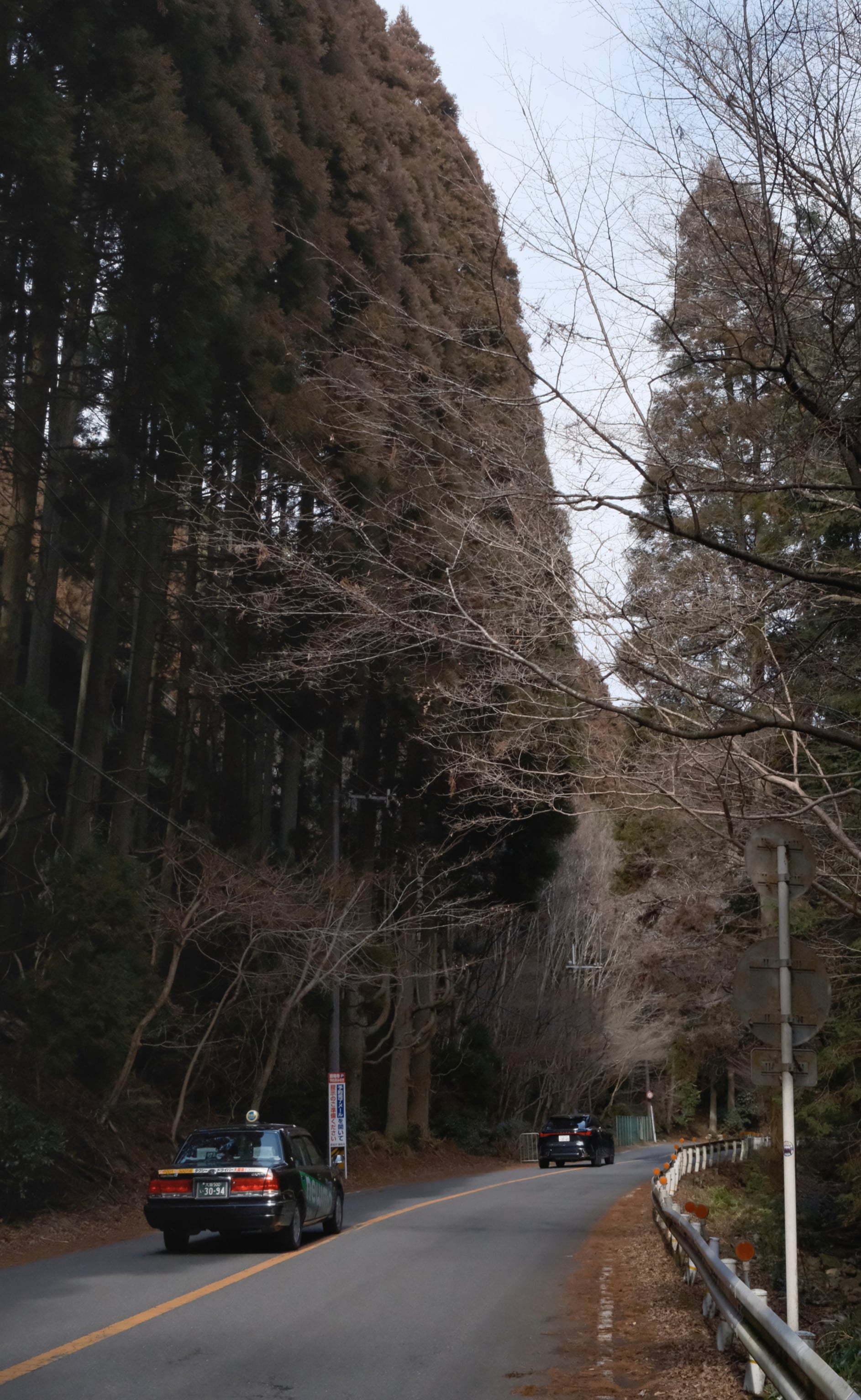Japan - Photo 41