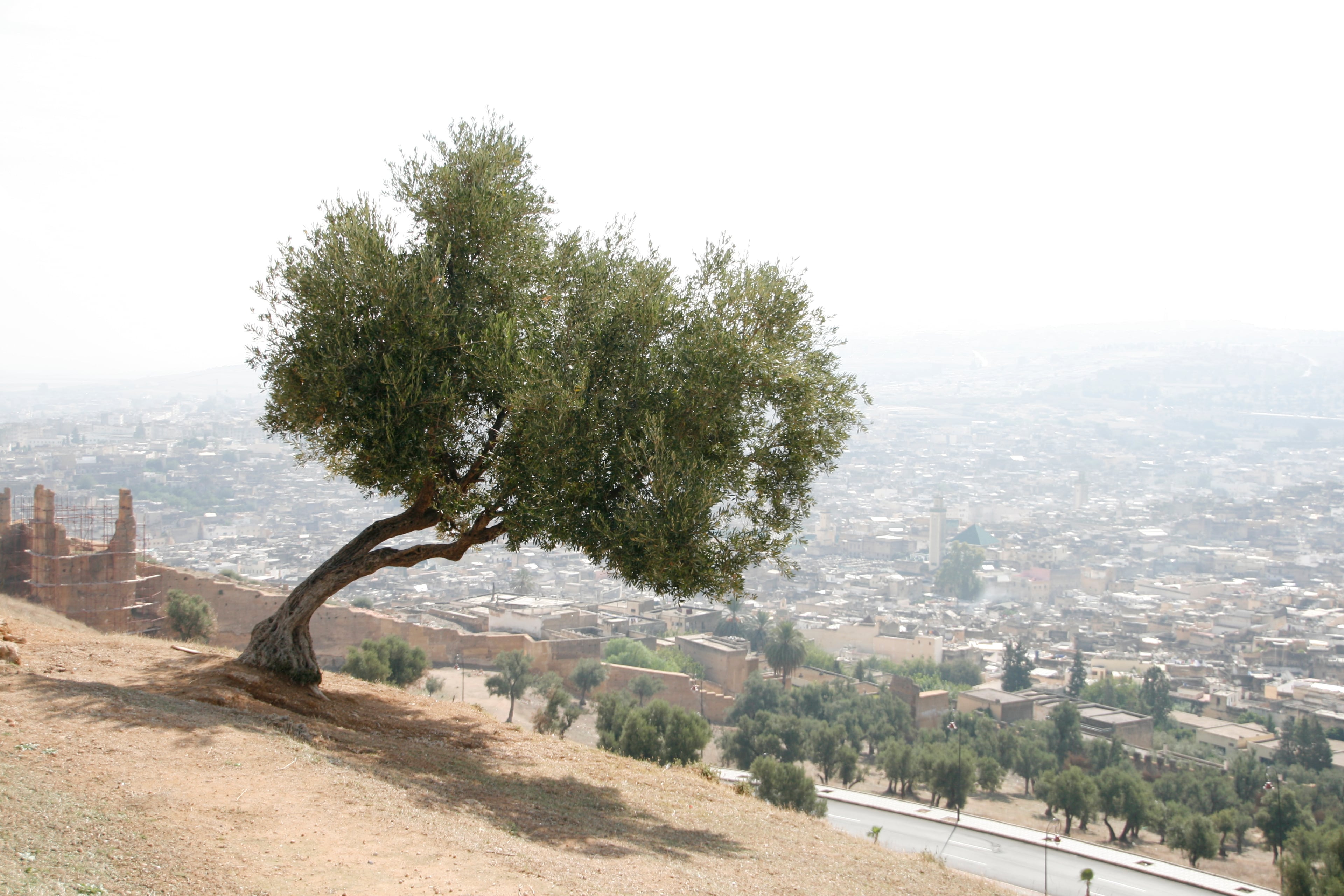 Marrocco - Photo 20