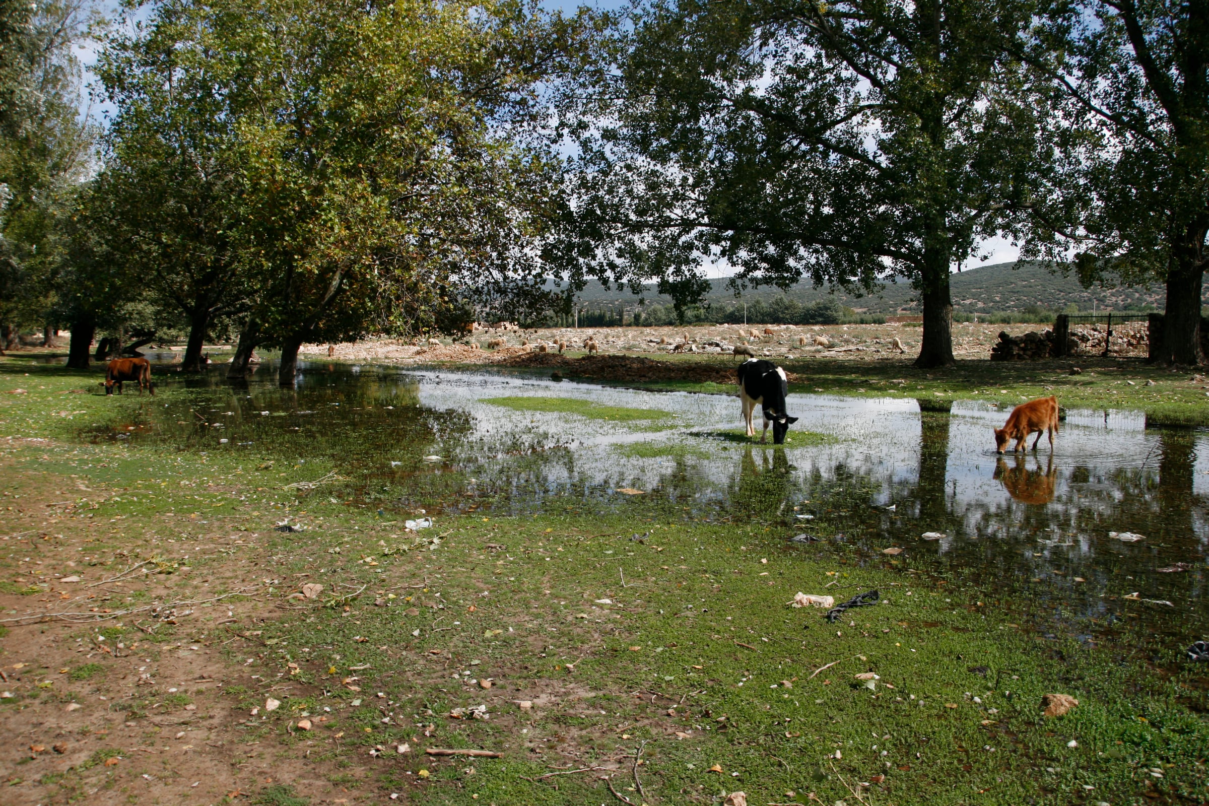 Marrocco - Photo 33