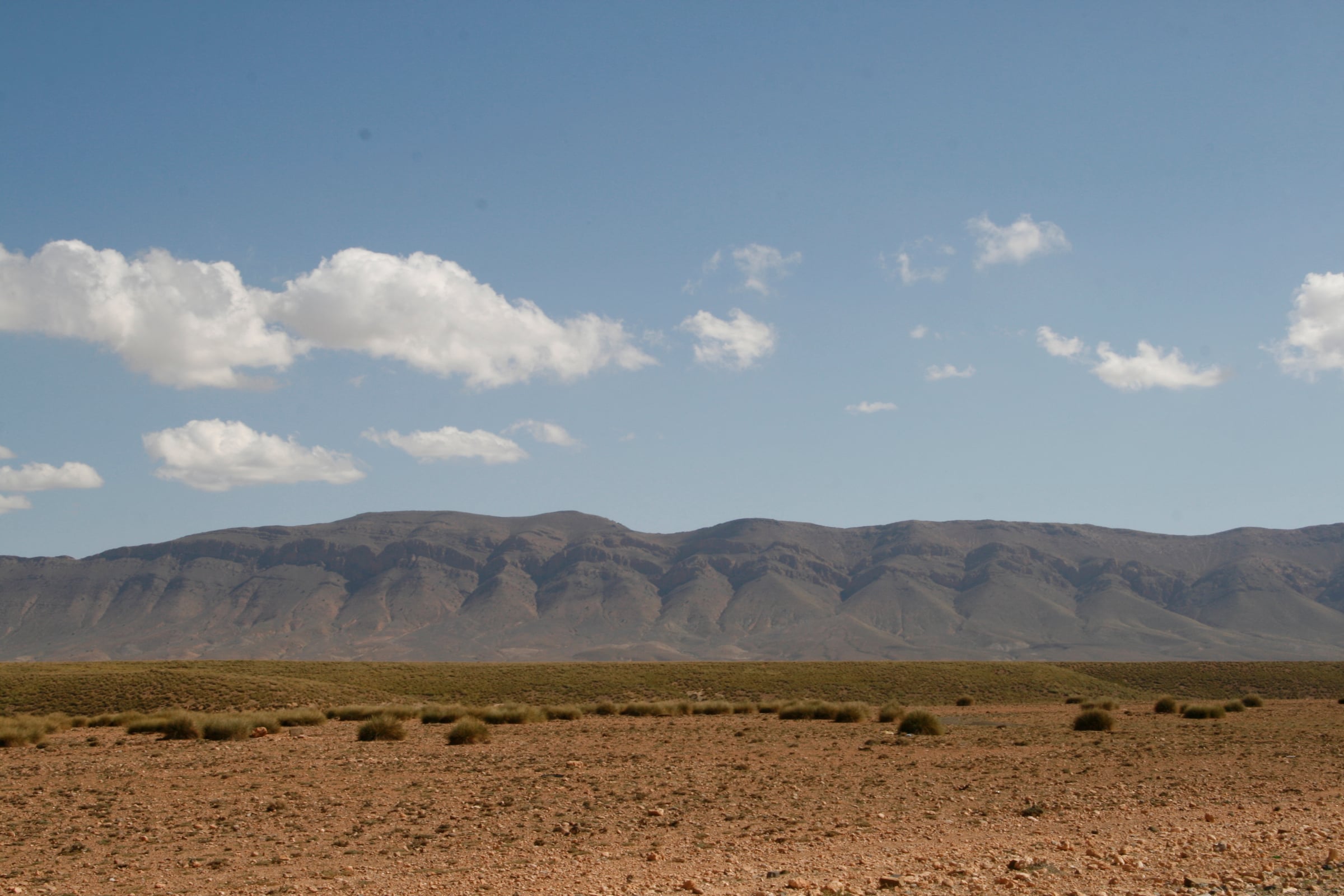 Marrocco - Photo 11