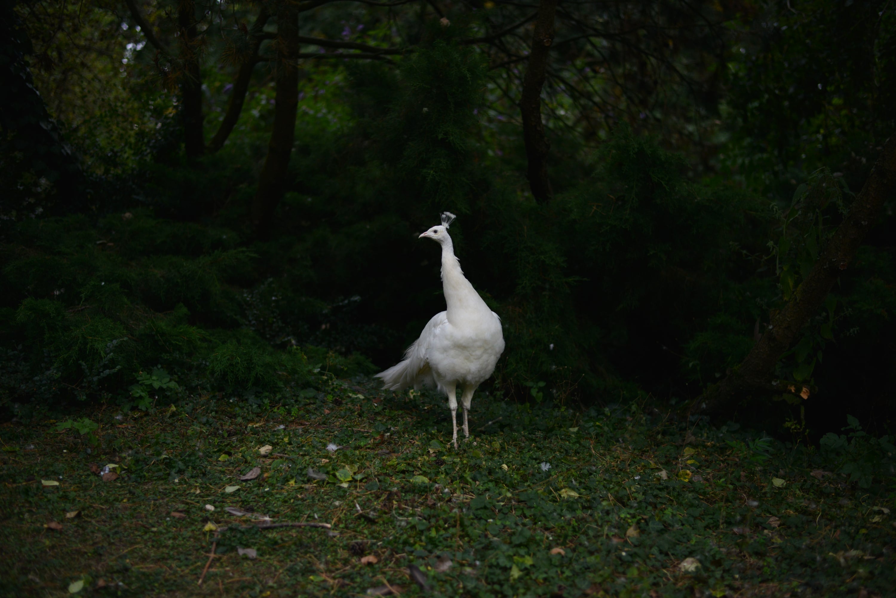 Miscellaneous - Photo 47