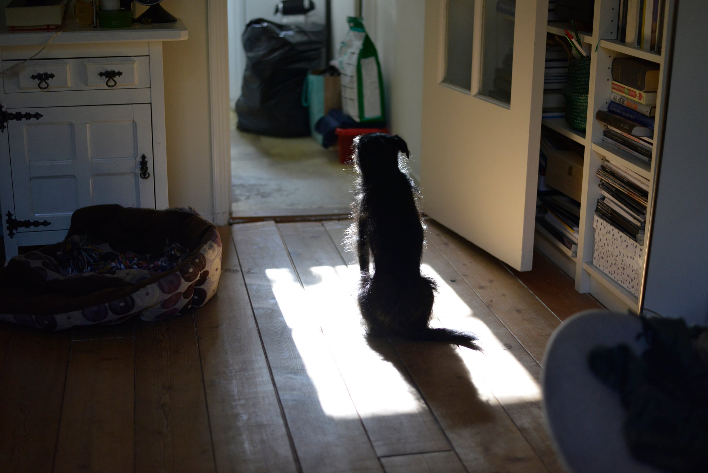 Miscellaneous - Photo 1