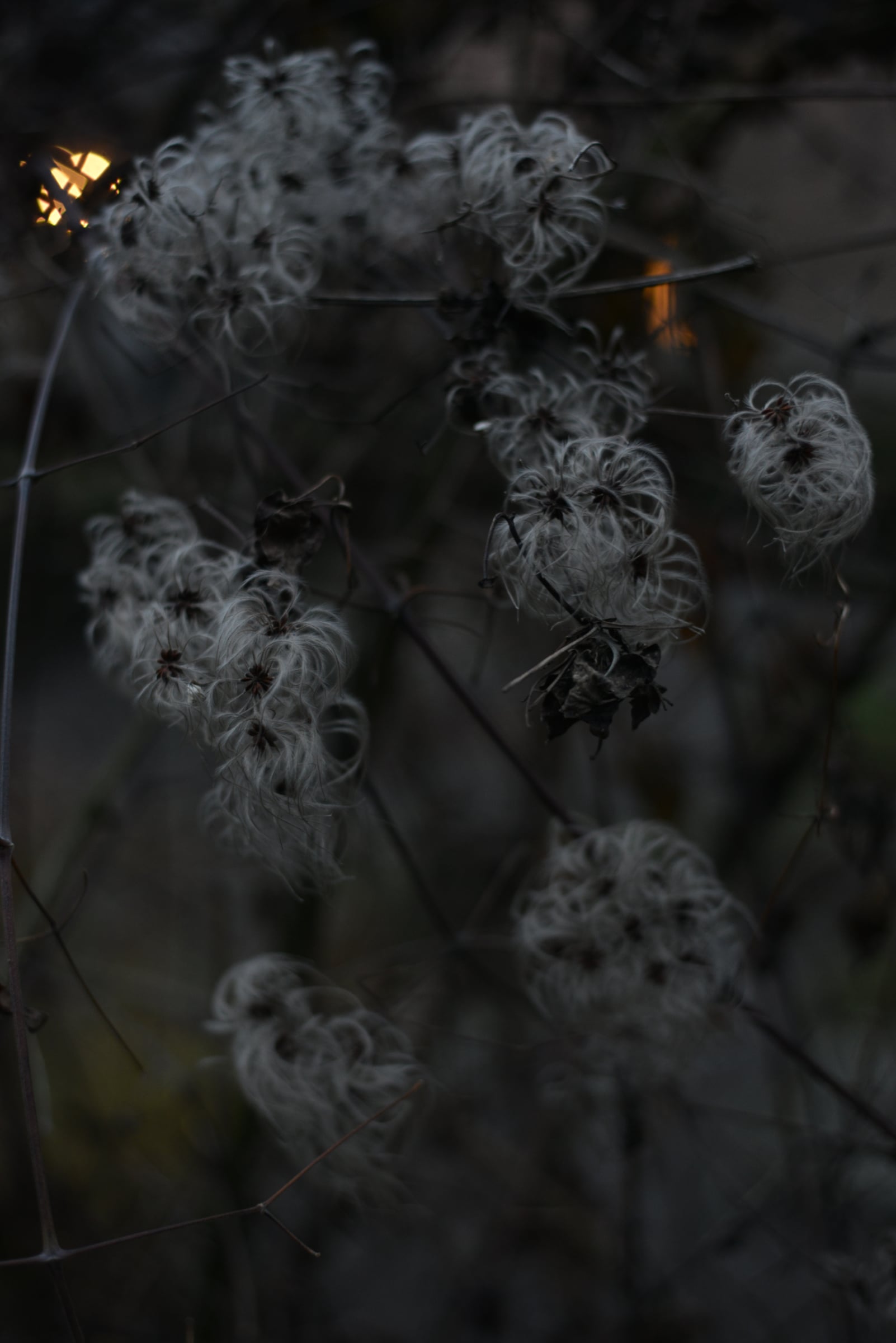 Miscellaneous - Photo 18