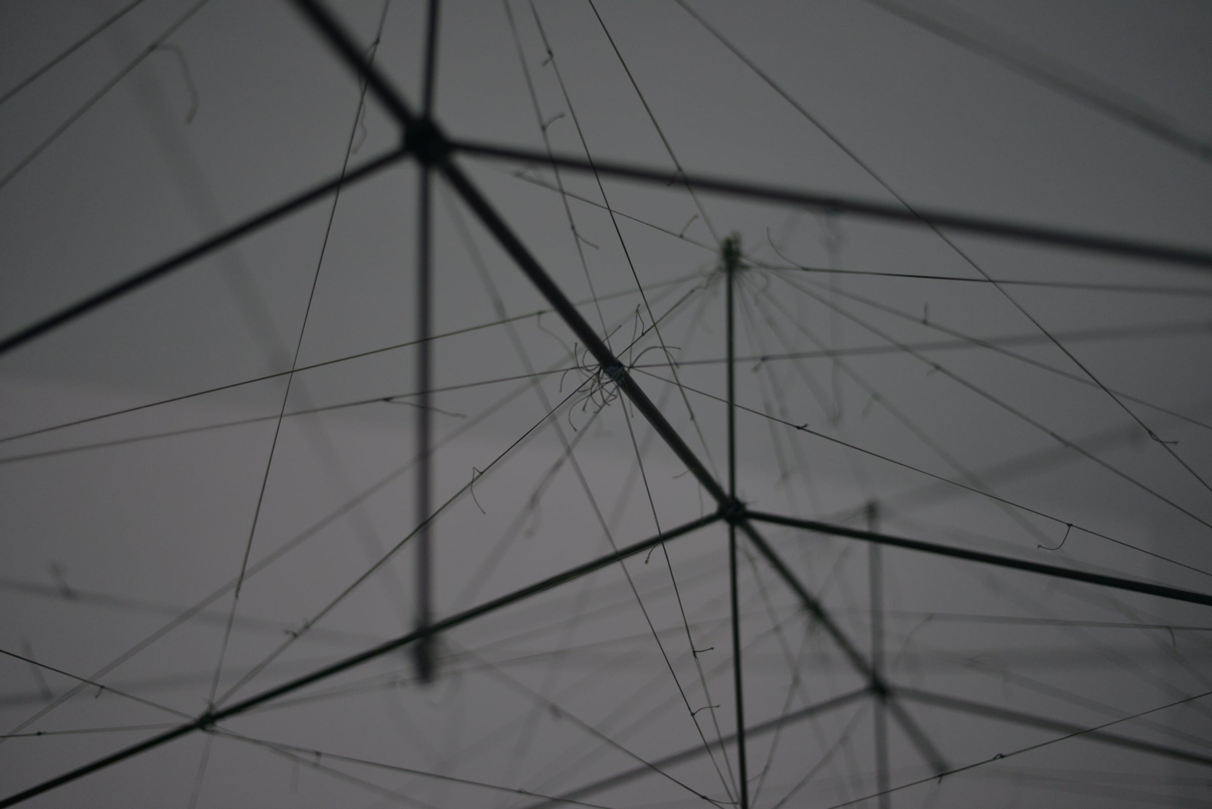 Miscellaneous - Photo 6