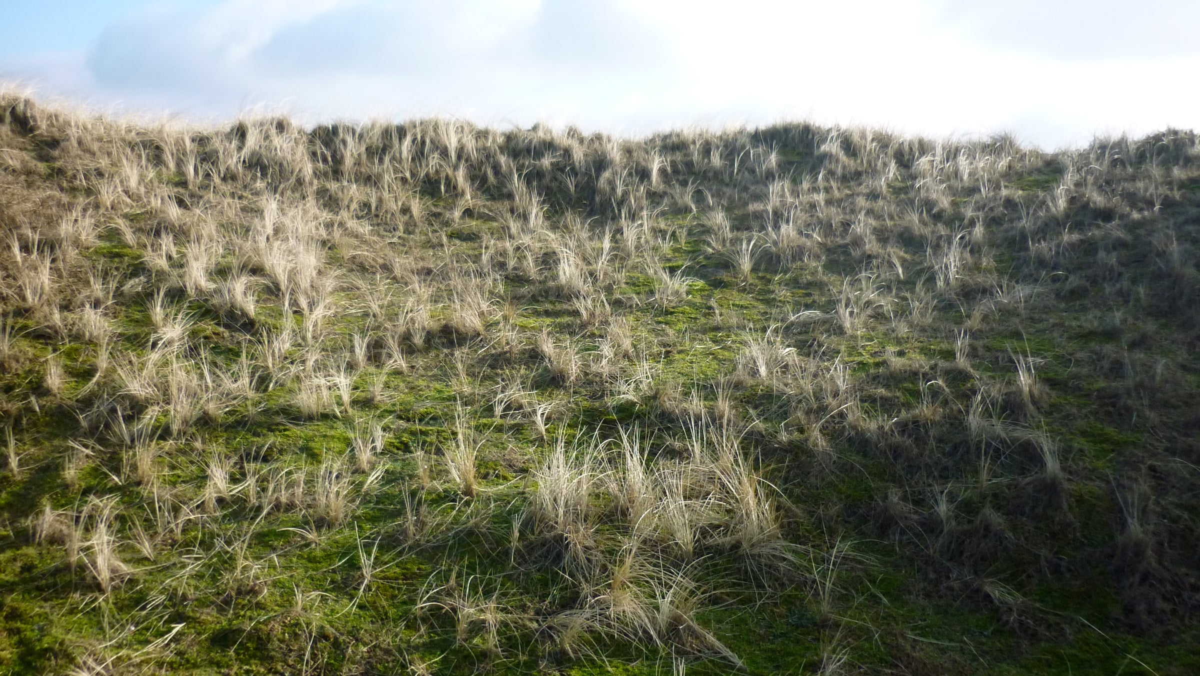 Miscellaneous - Photo 7
