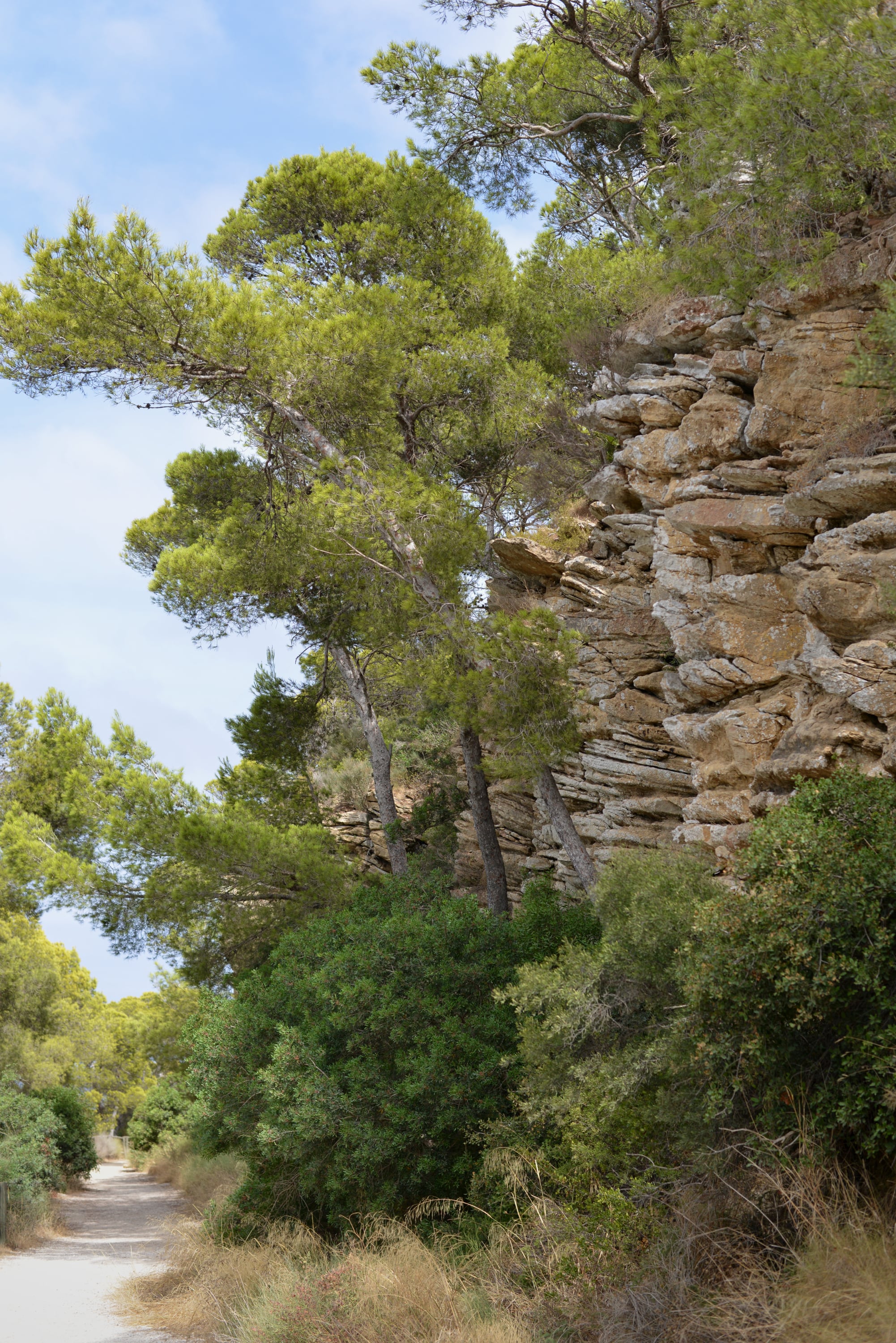 Nature - Photo 4