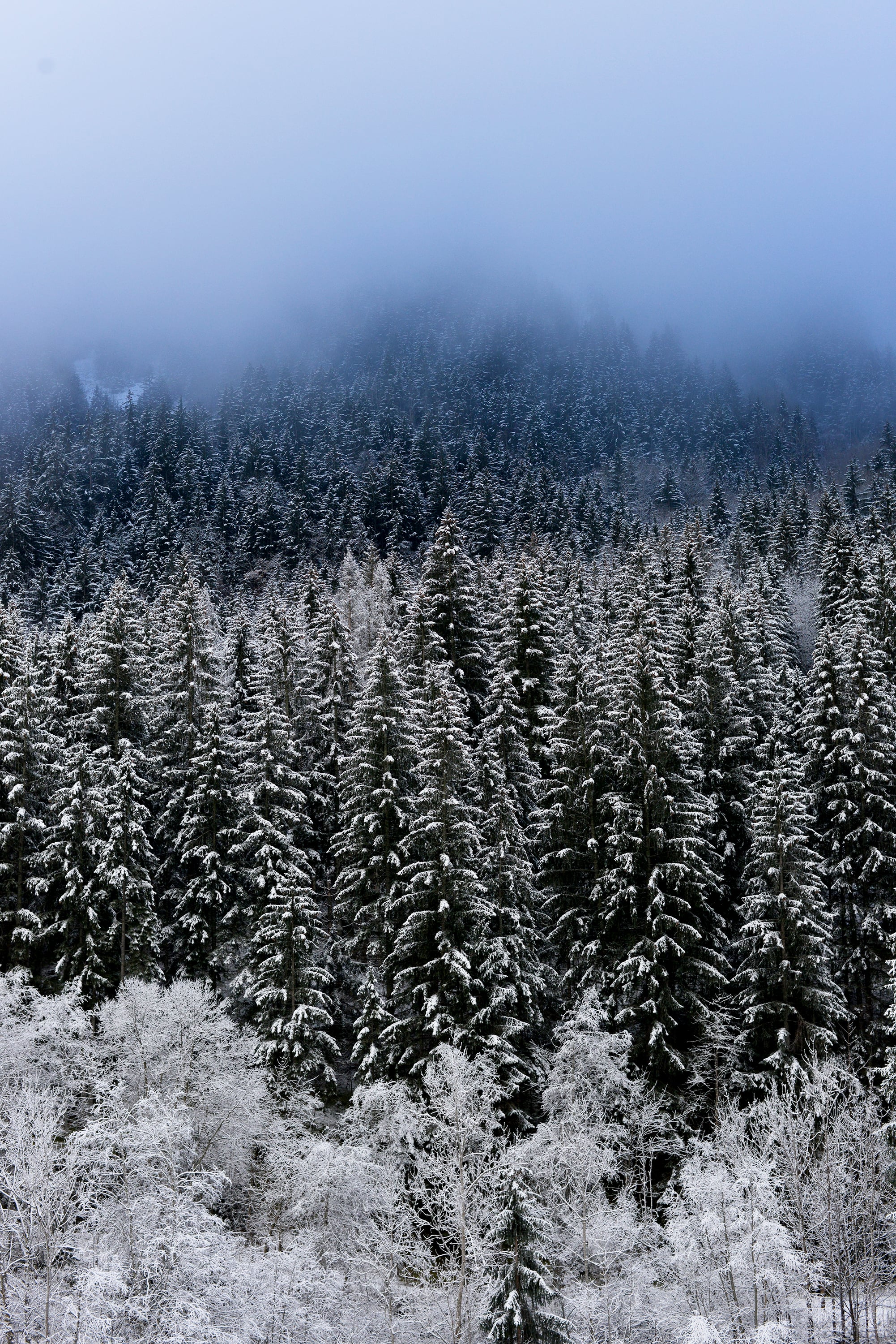 Nature - Photo 5