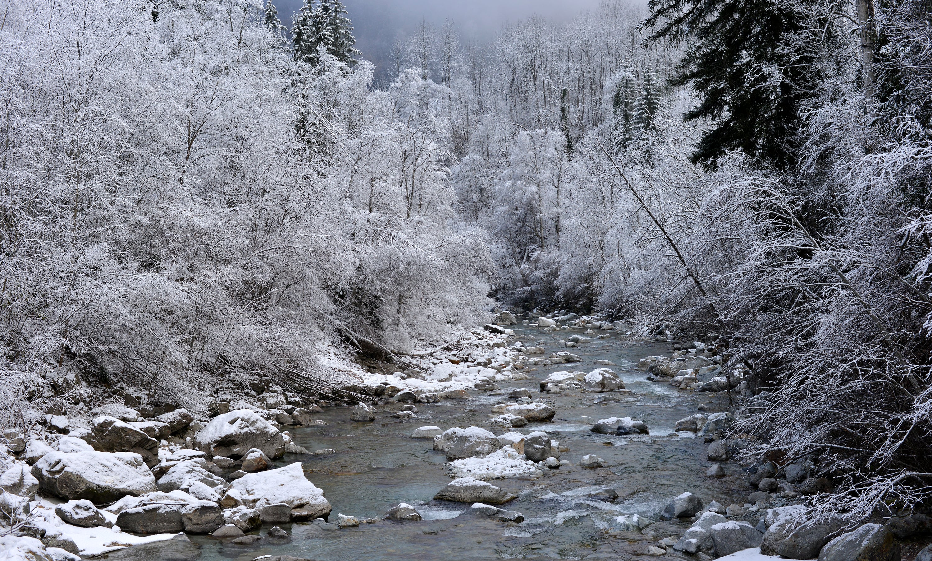Nature - Photo 6