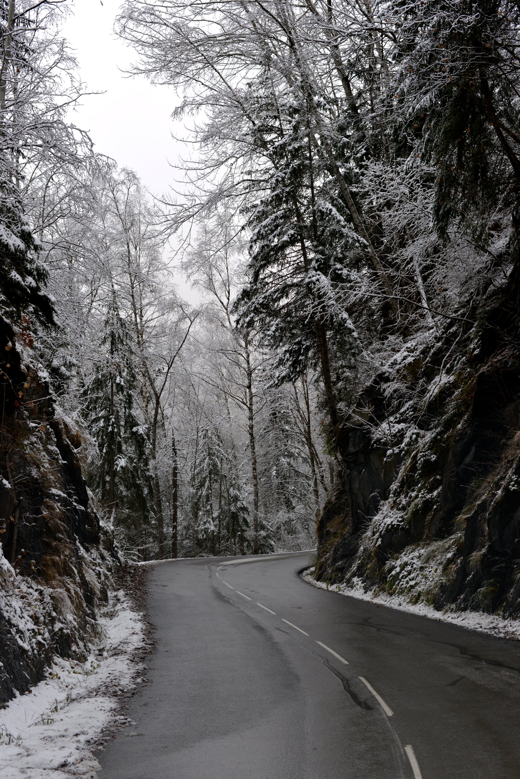 Nature - Photo 7