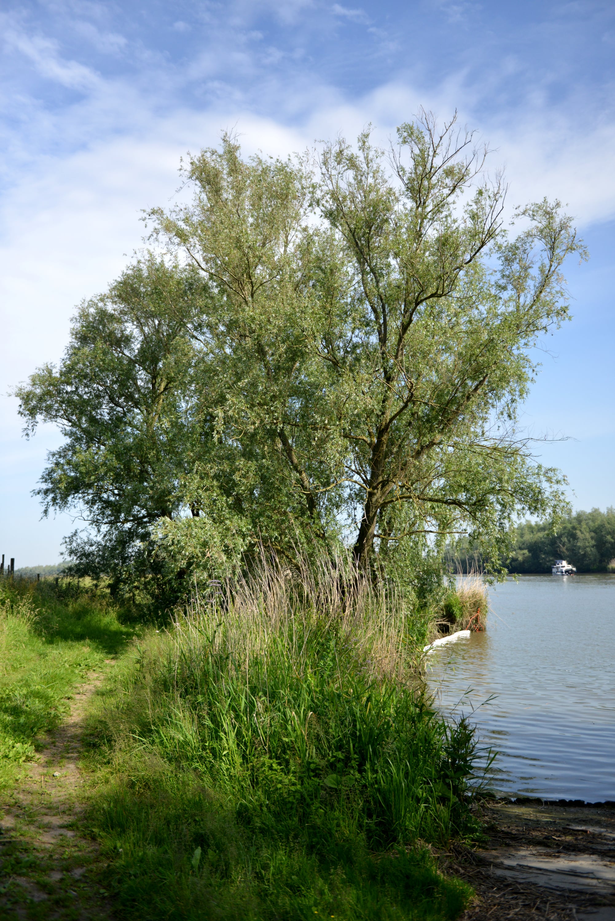 Nature - Photo 8