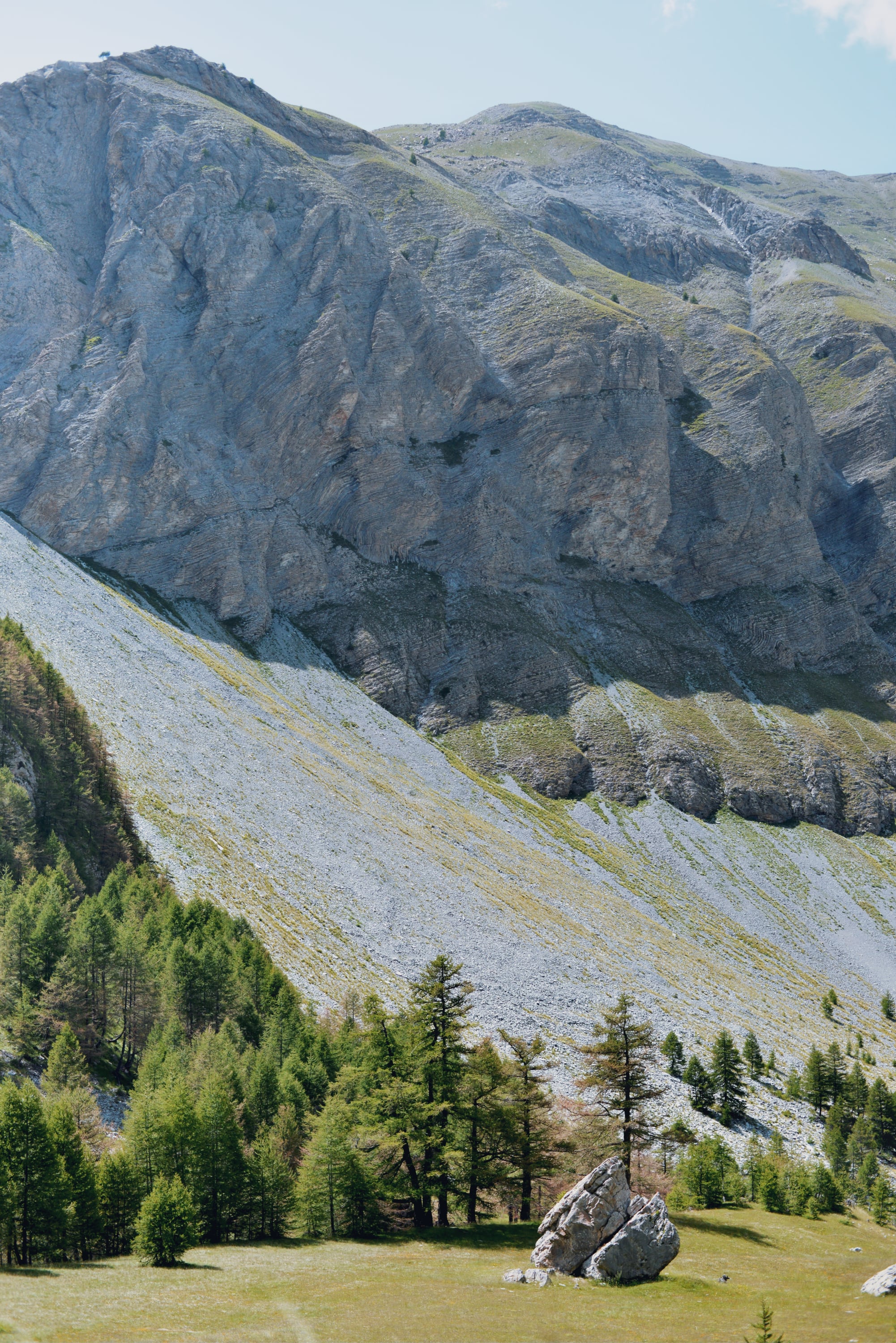Nature - Photo 10