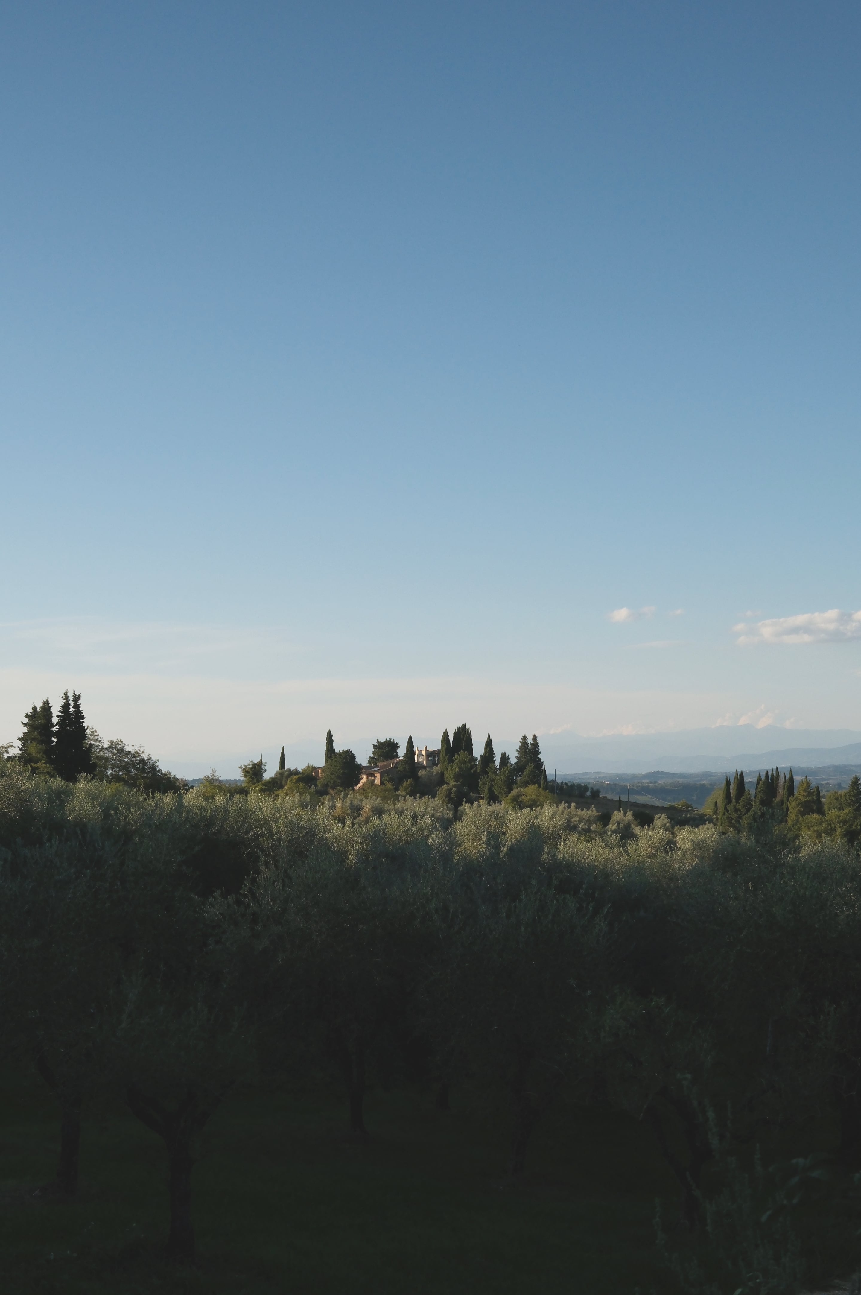 Tuscany - Photo 22