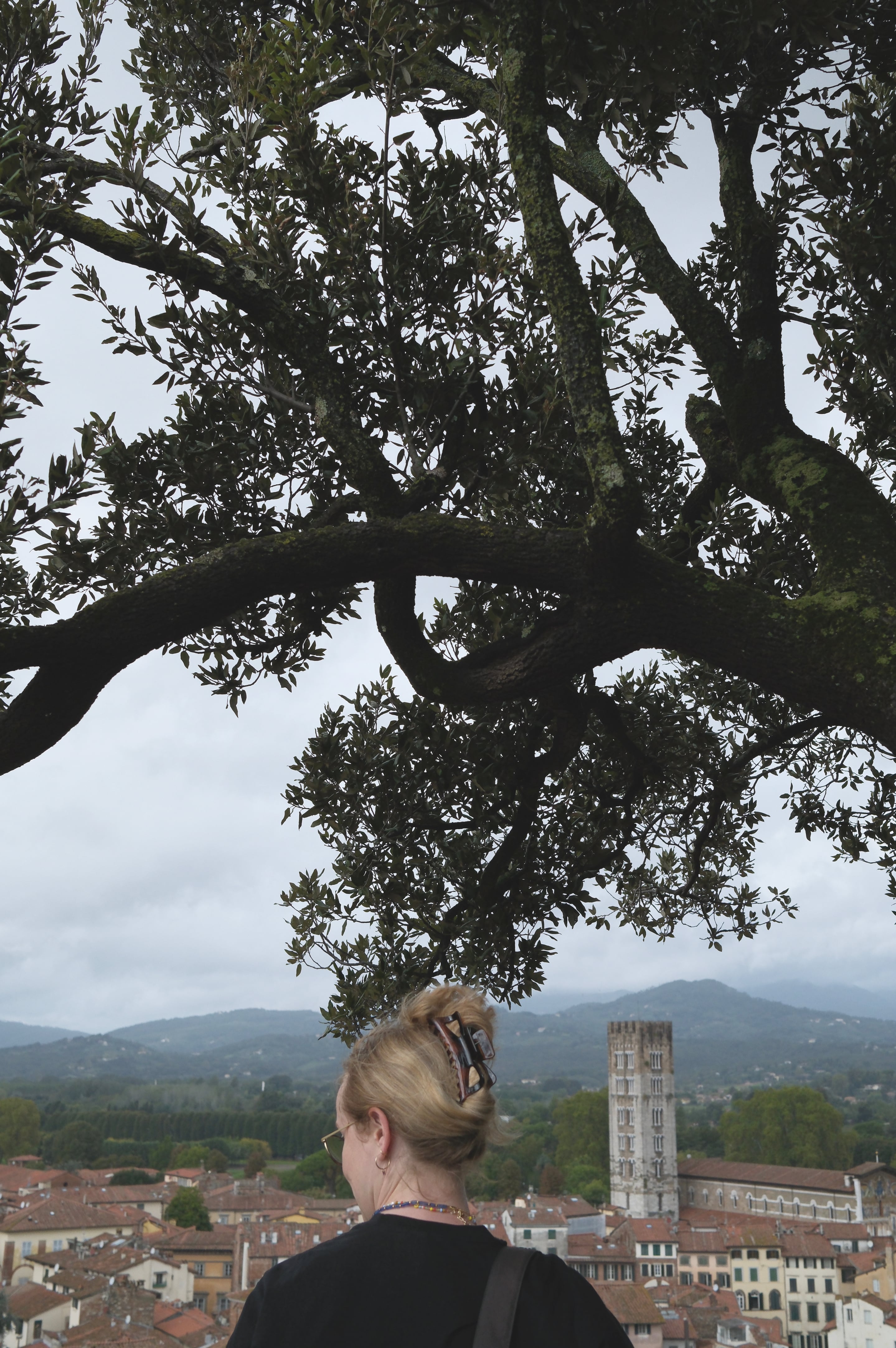 Tuscany - Photo 20